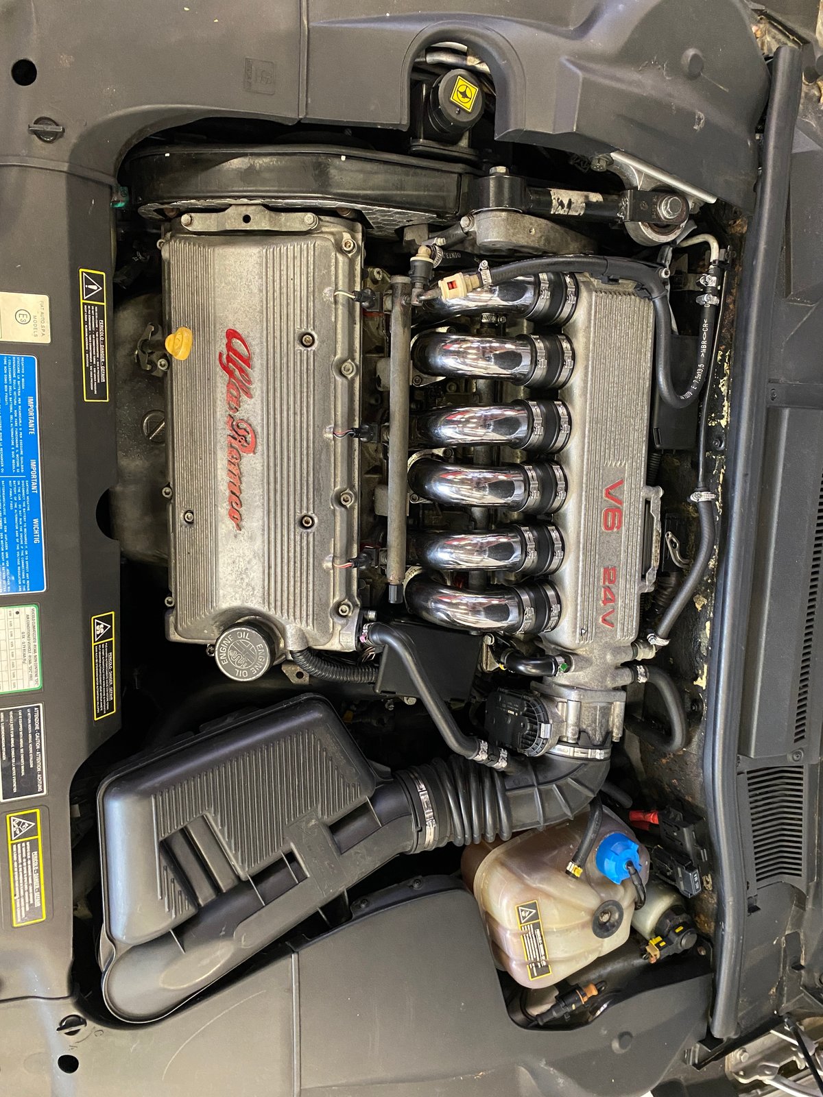 ALFA ROMEO 3.0 v6 24 v motore BUSSO, Benzina, Occasioni / Usate, Automatico - 5