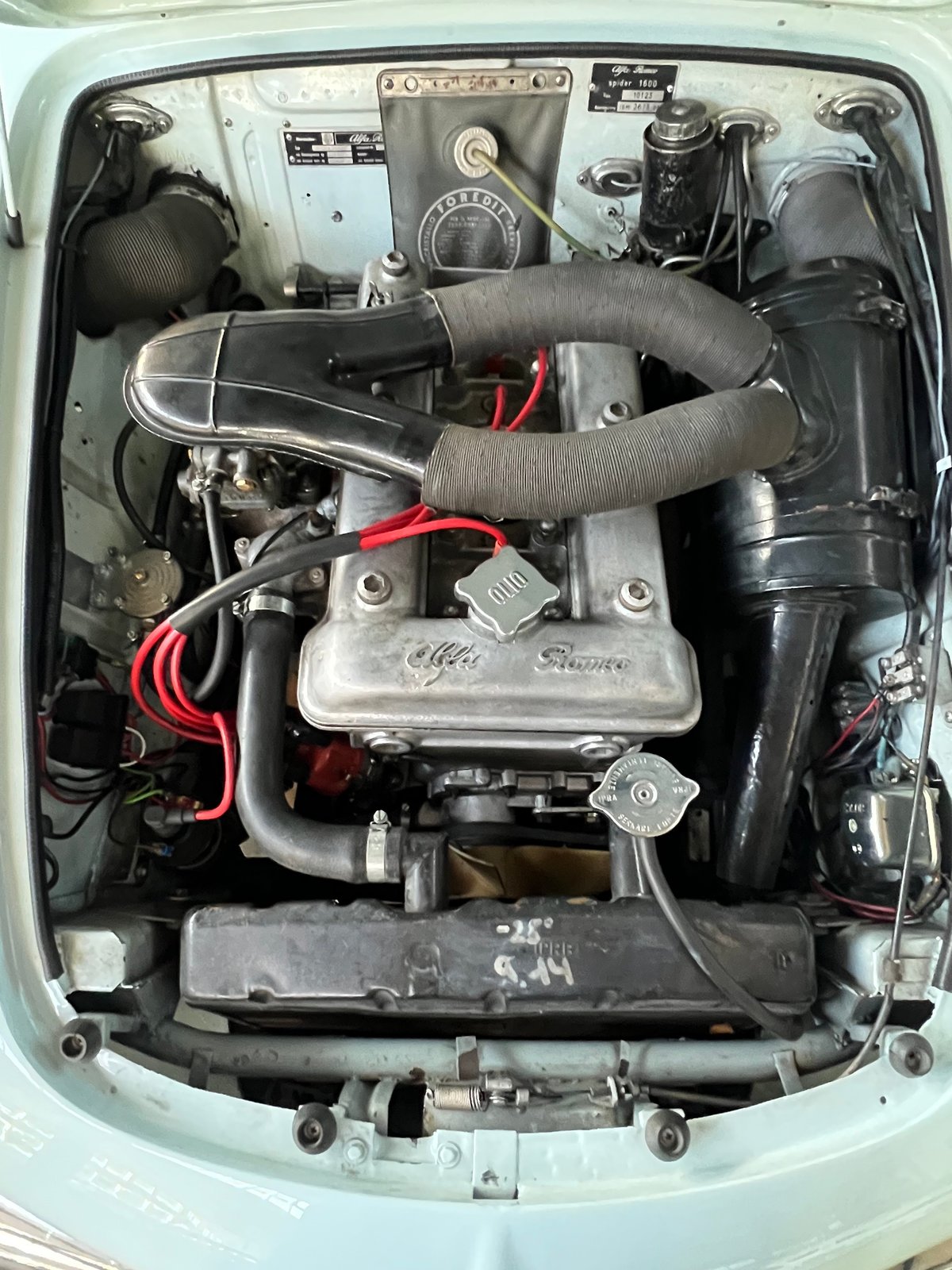 ALFA ROMEO Giulia 1600 Spider, Essence, Occasion / Utilisé, Manuelle - 7