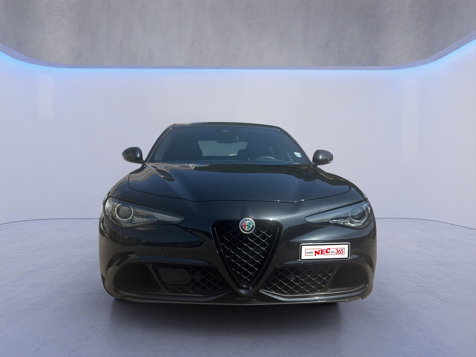 ALFA ROMEO Giulia 2.9 V6 Biturbo Quadrifoglio, Essence, Occasion / Utilisé, Automatique - 2