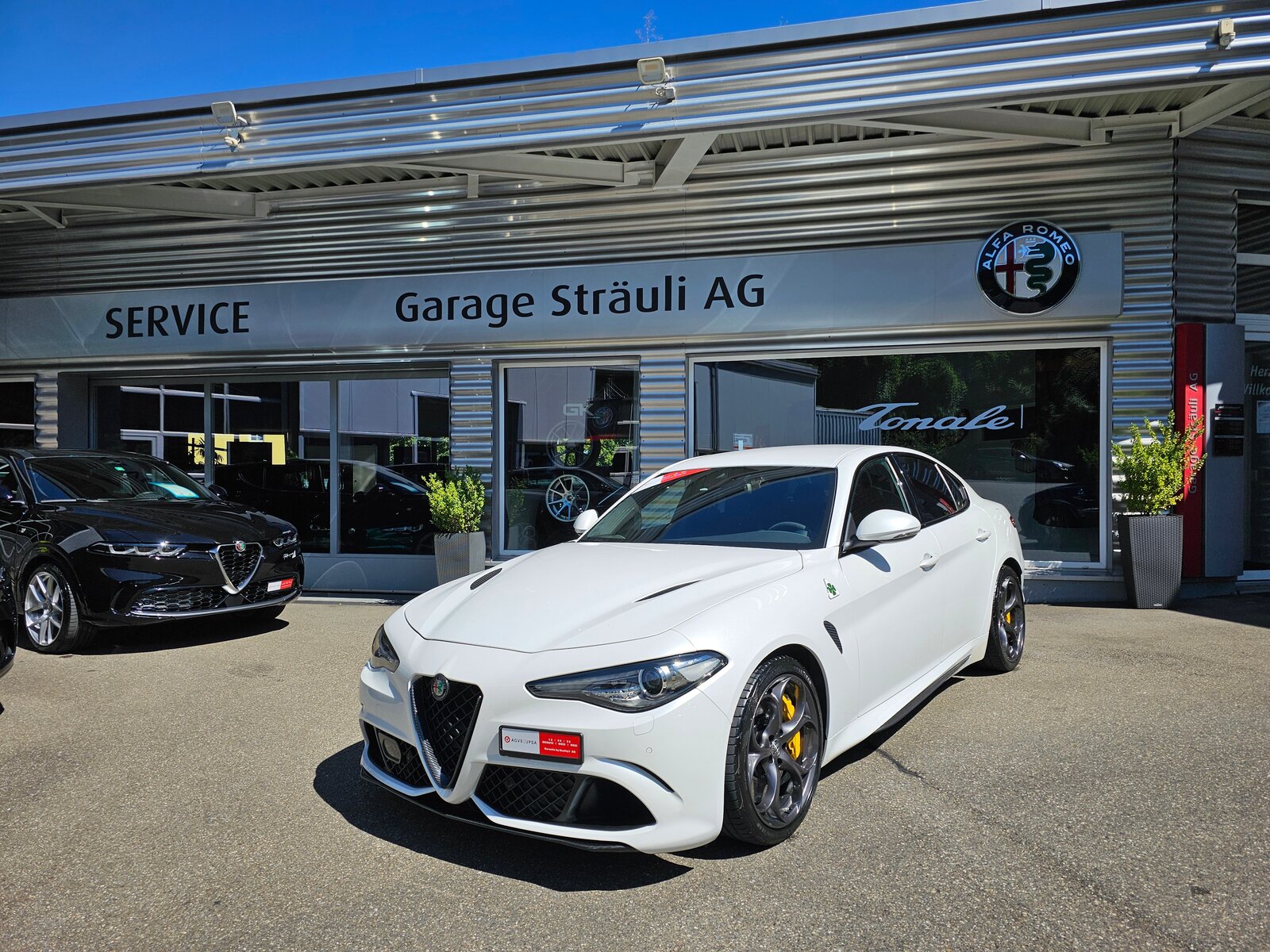 ALFA ROMEO Giulia 2.9 V6 Quadrifoglio