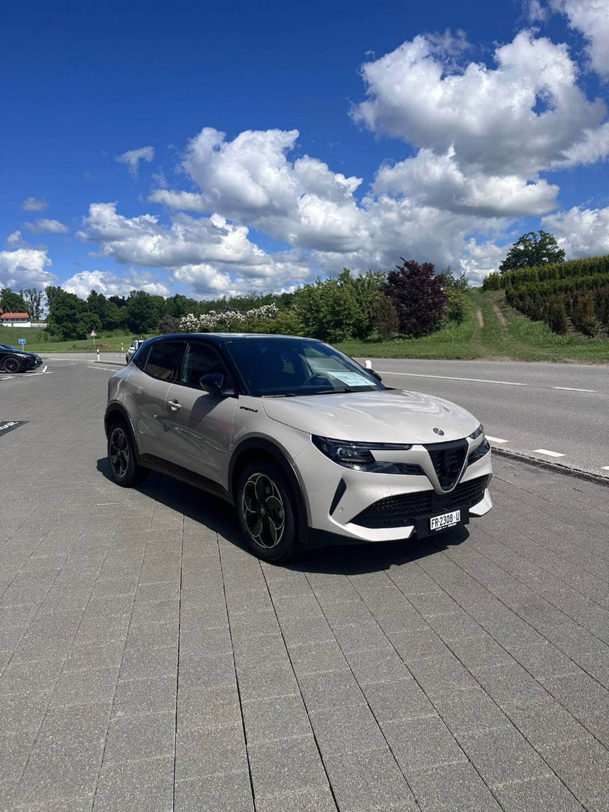 ALFA ROMEO Junior Elettrica Speciale, Electric, New car, Automatic - 4