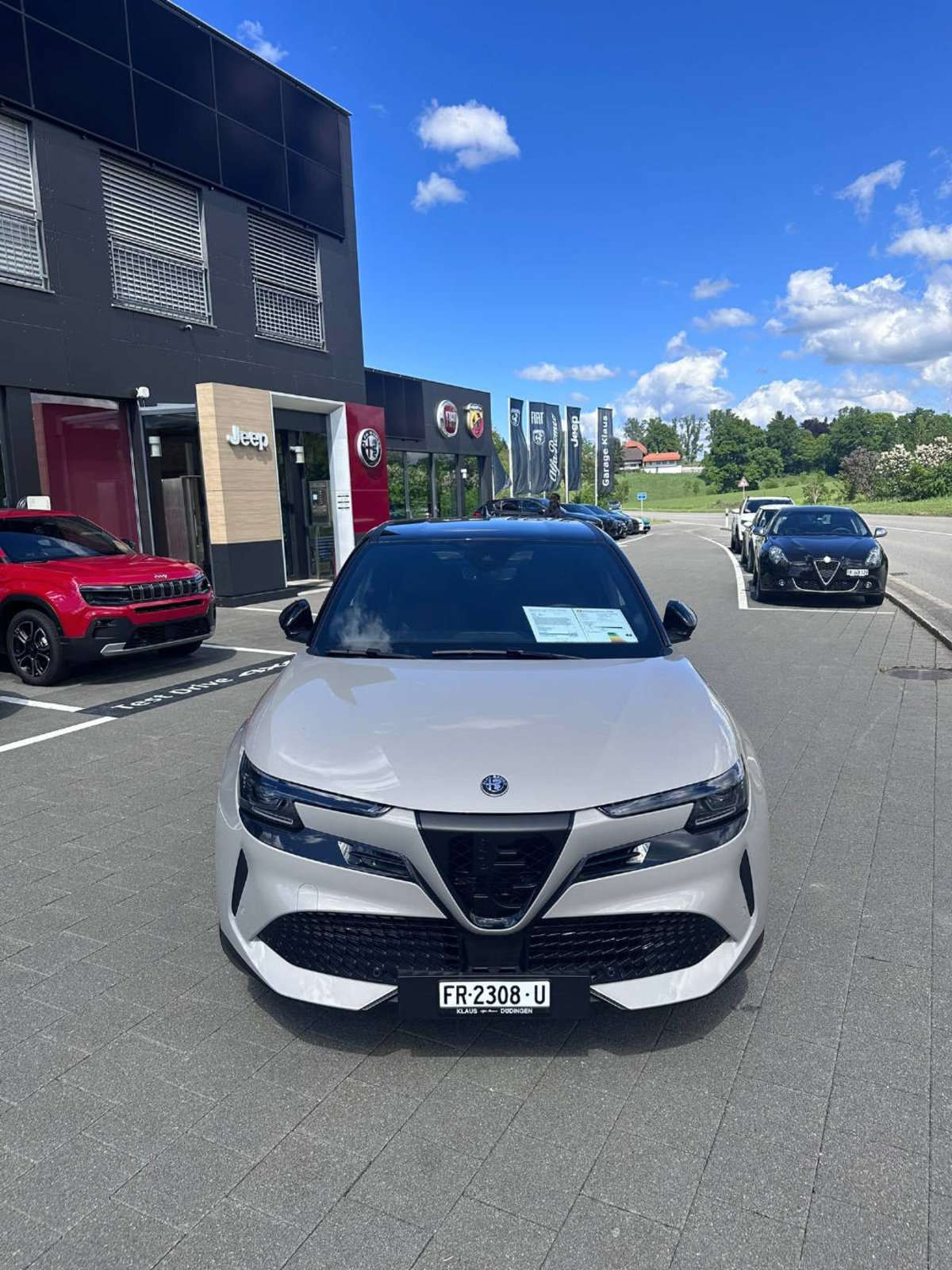 ALFA ROMEO Junior Elettrica Speciale, Electric, New car, Automatic - 5