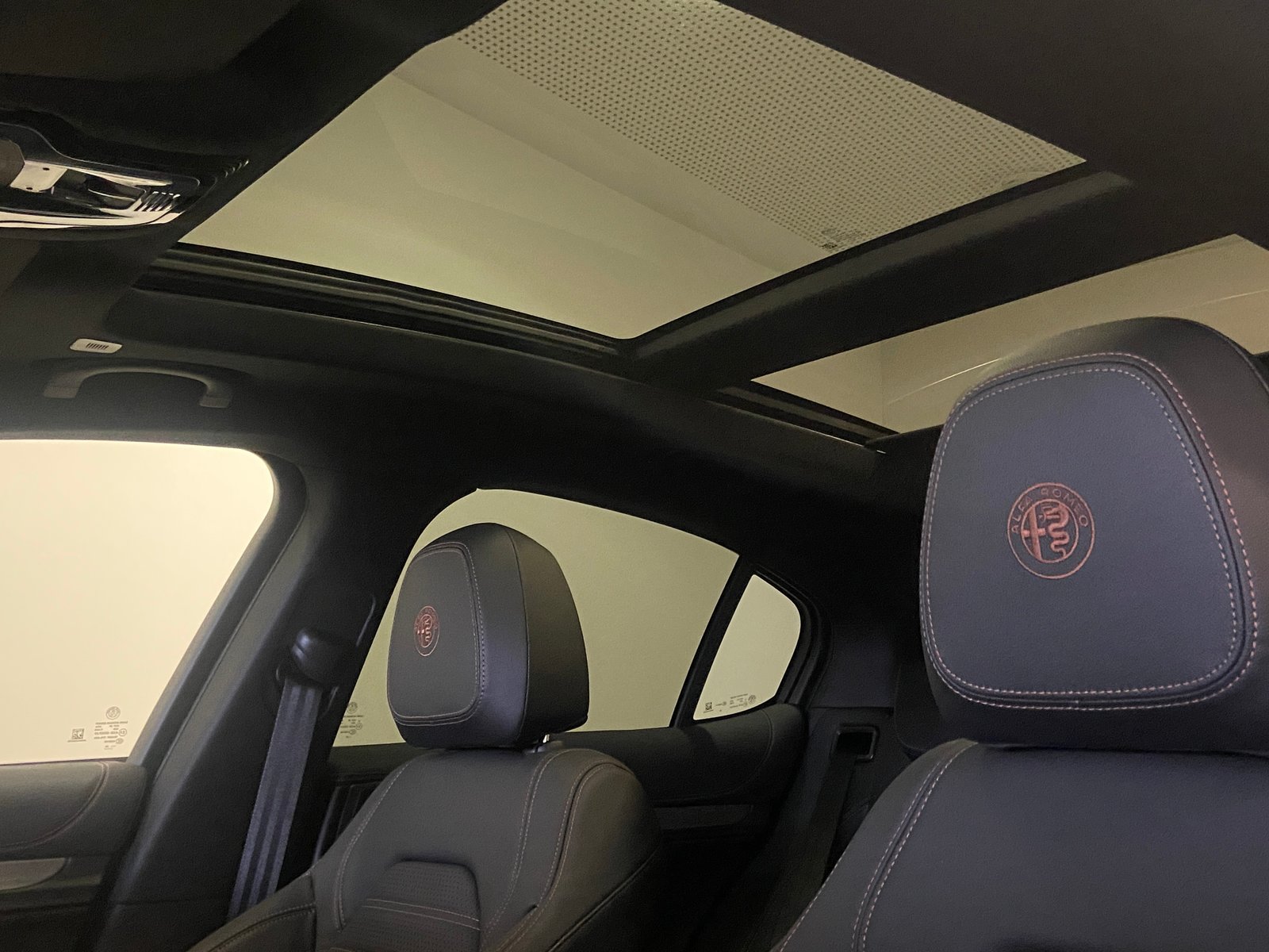 ALFA ROMEO Stelvio 2.0 Edizione Carbone Intensa Sky Q4 AT8, Benzina, Auto nuove, Automatico - 5