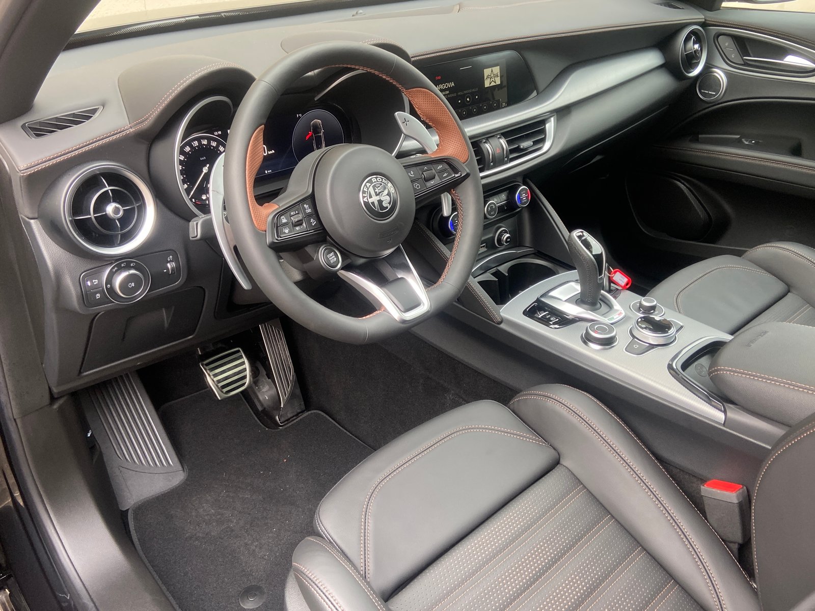 ALFA ROMEO Stelvio 2.0 Edizione Carbone Intensa Sky Q4 AT8, Benzina, Auto nuove, Automatico - 7