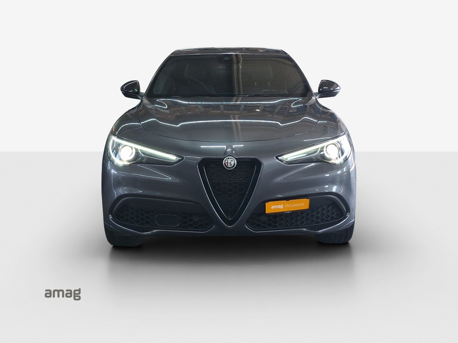 ALFA ROMEO Stelvio 2.0 Veloce Q4, Benzina, Occasioni / Usate, Automatico - 7