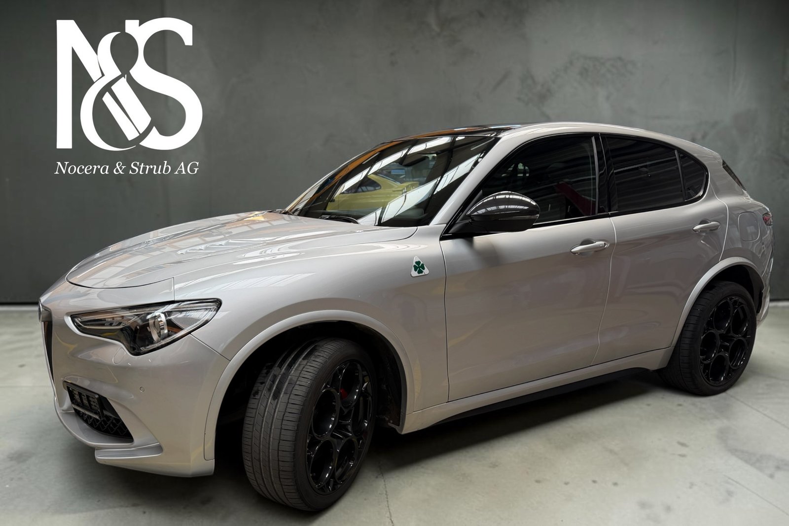 ALFA ROMEO Stelvio 2.9 V6 Quadrifoglio Sky Q4, Essence, Occasion / Utilisé, Automatique - 2