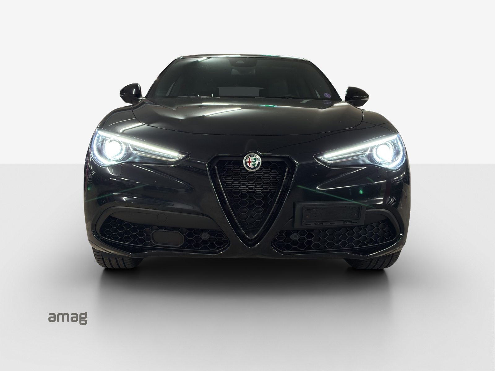 ALFA ROMEO Stelvio 2.0 Veloce, Benzina, Occasioni / Usate, Automatico - 7