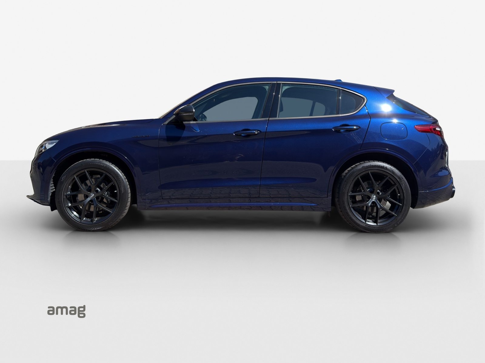 ALFA ROMEO Stelvio 2.0 Veloce Q4, Benzina, Occasioni / Usate, Automatico - 2