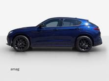 ALFA ROMEO Stelvio 2.0 Veloce Q4, Benzina, Occasioni / Usate, Automatico - 2