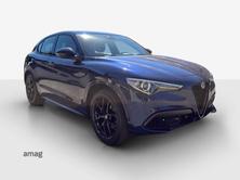 ALFA ROMEO Stelvio 2.0 Veloce Q4, Benzina, Occasioni / Usate, Automatico - 6