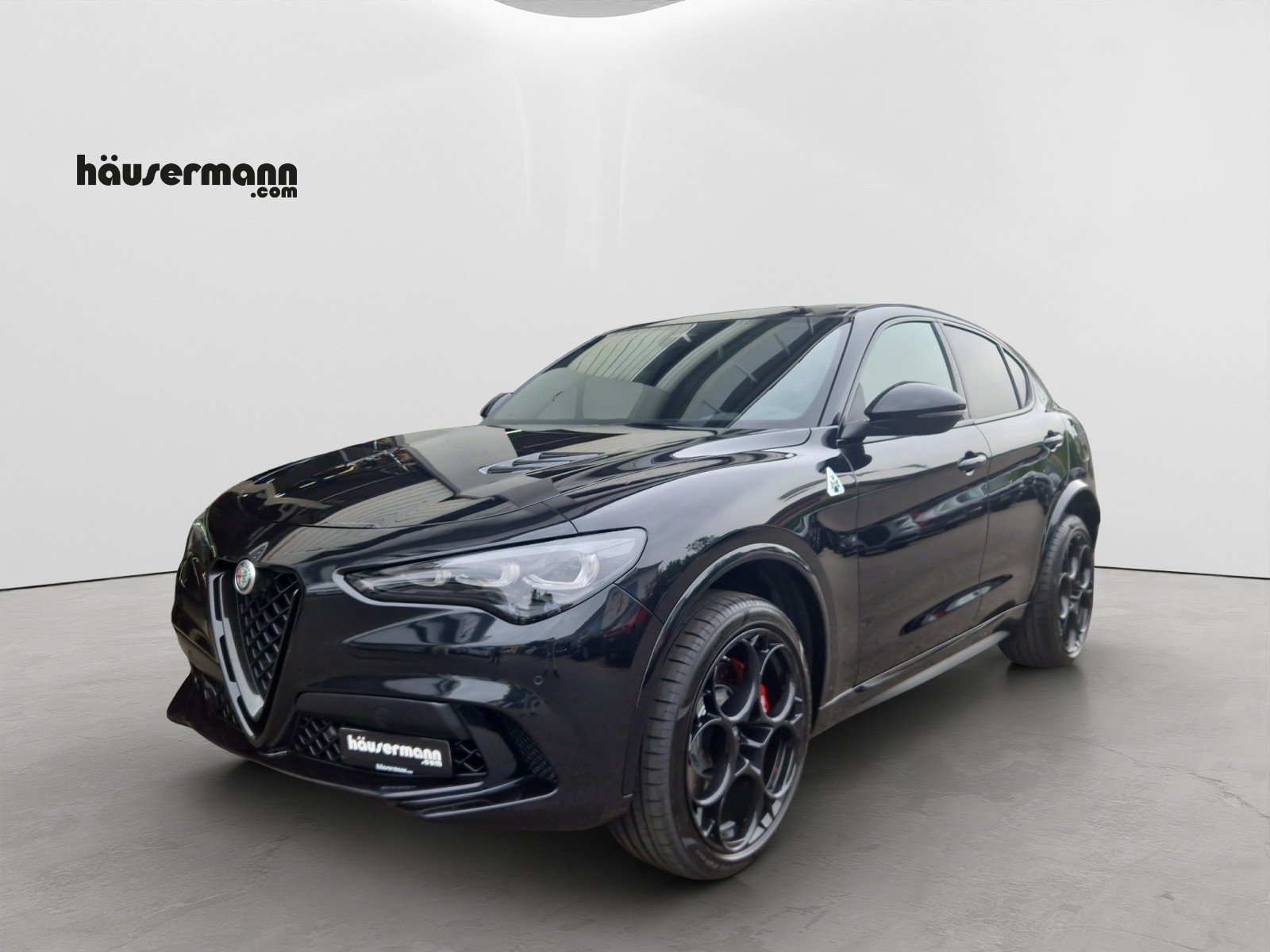 ALFA ROMEO Stelvio 2.9 V6 Biturbo Q4 Quadrifoglio