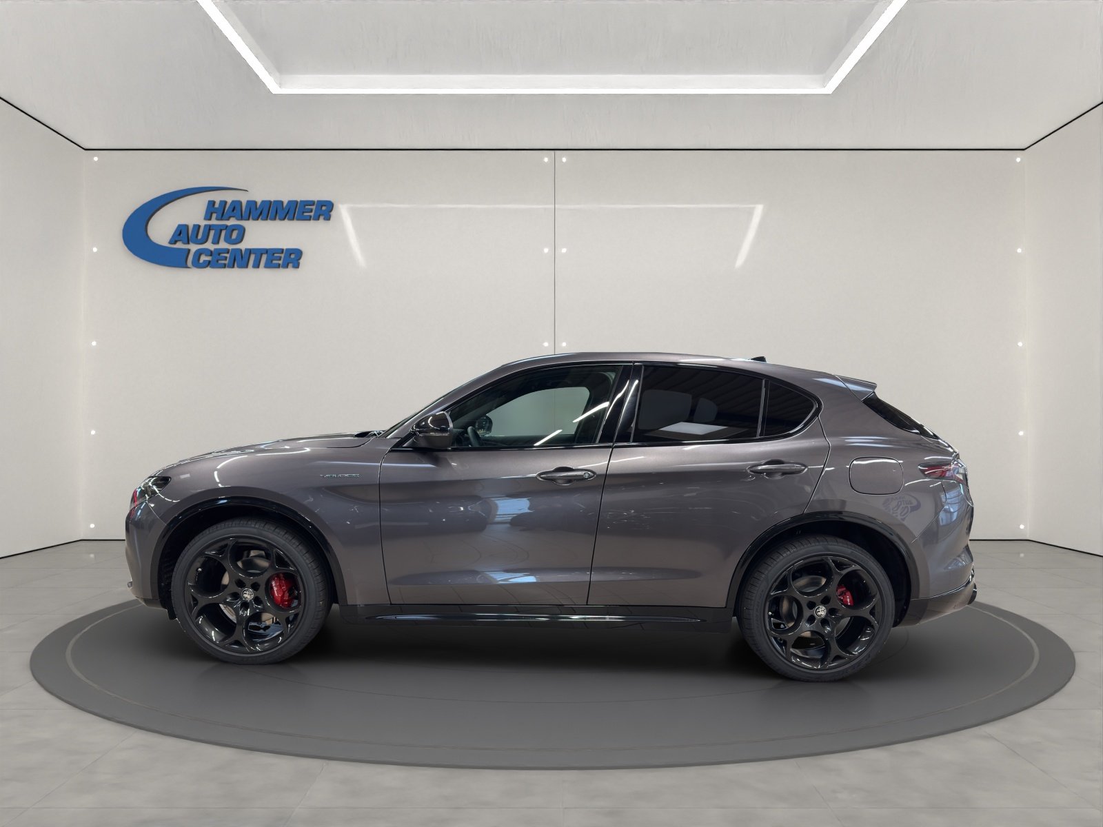 ALFA ROMEO Stelvio 2.0 Q4 280 Veloce, Benzina, Auto nuove, Automatico - 6