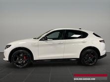 ALFA ROMEO STELVIO 2.0 Q4 280 Veloce P, Benzina, Auto nuove, Automatico - 2