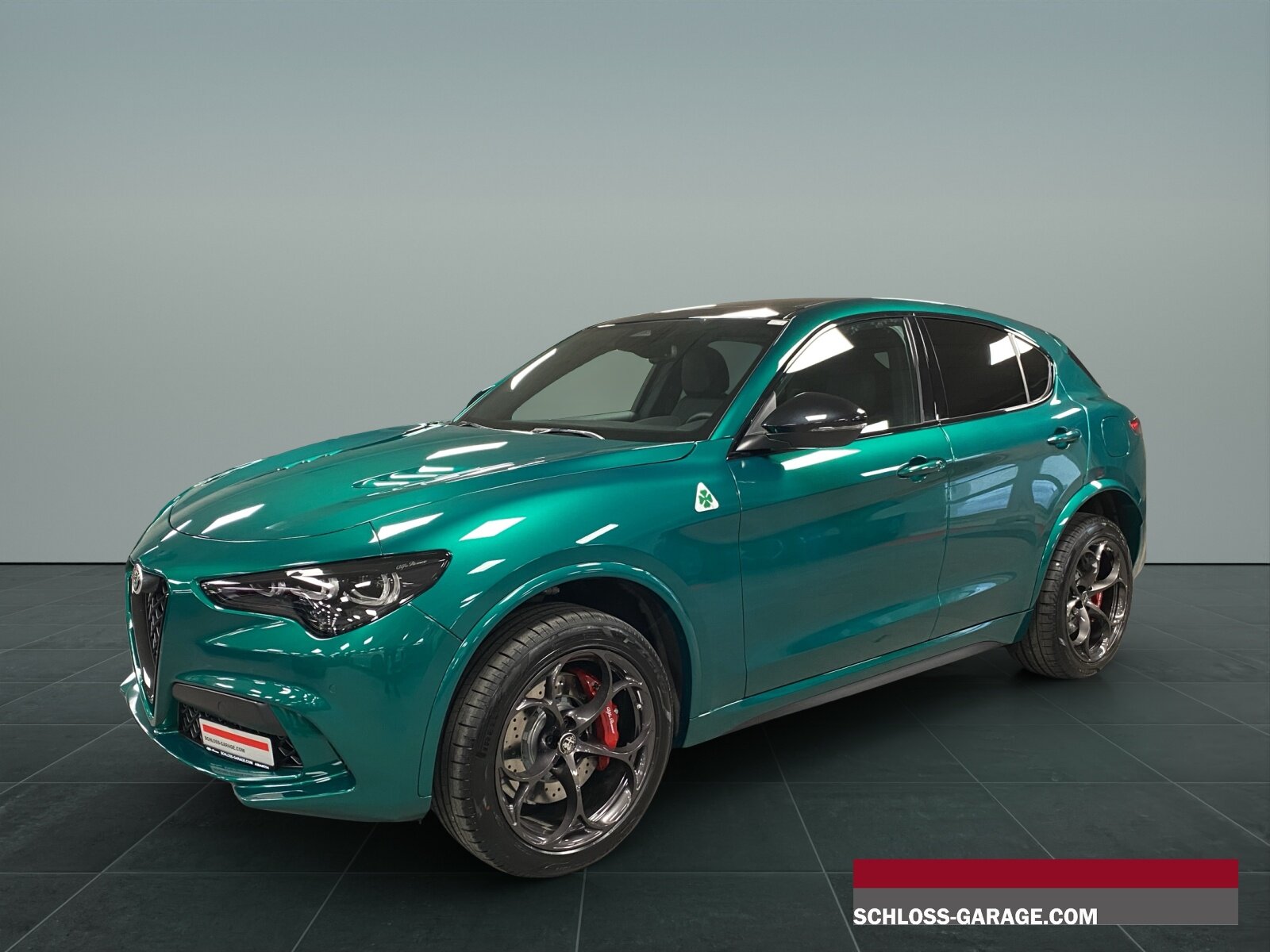 ALFA ROMEO STELVIO 2.9 V6 Biturbo Q4 Q