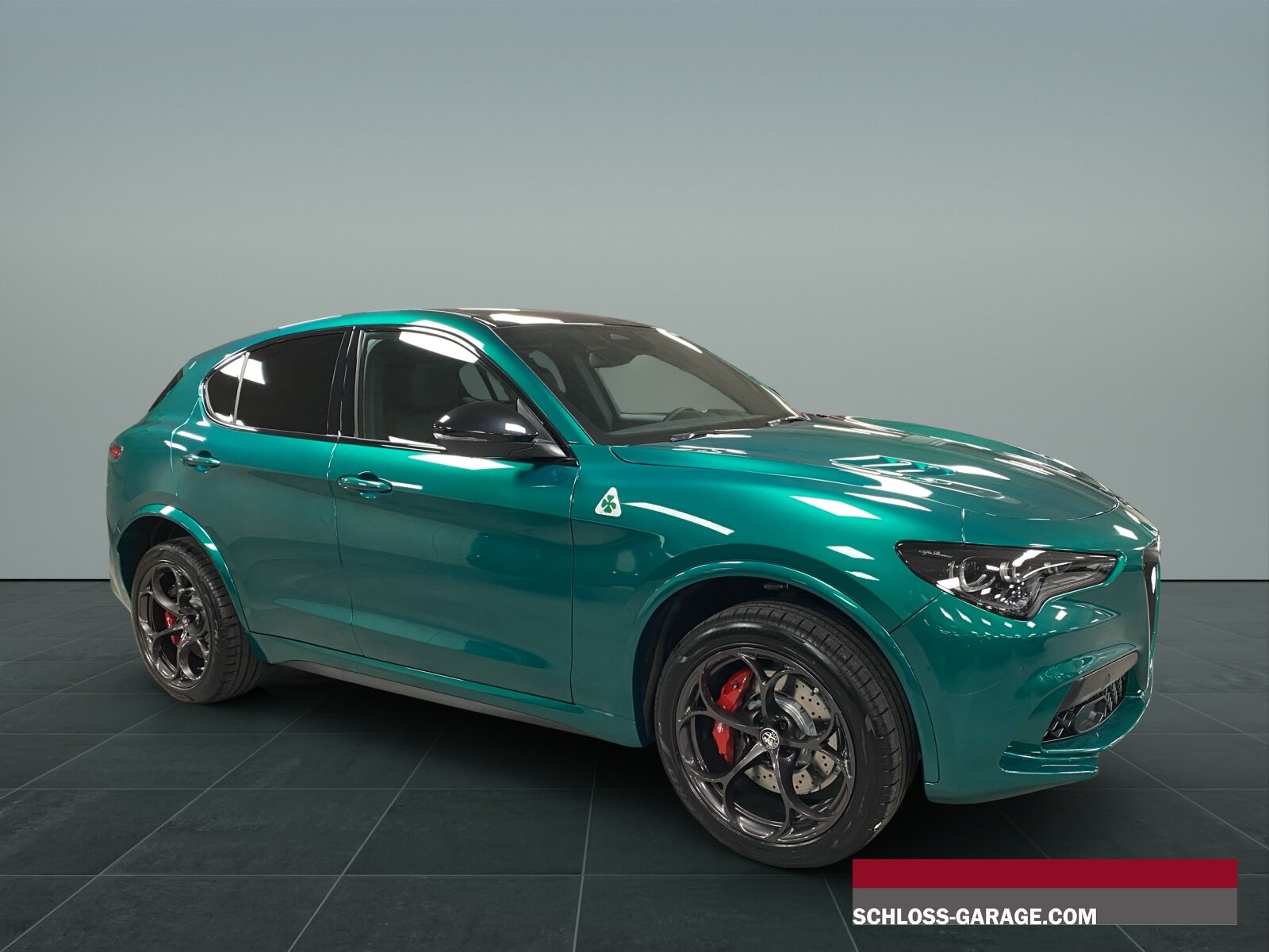 ALFA ROMEO STELVIO 2.9 V6 Biturbo Q4 Q, Essence, Voiture nouvelle, Automatique - 7