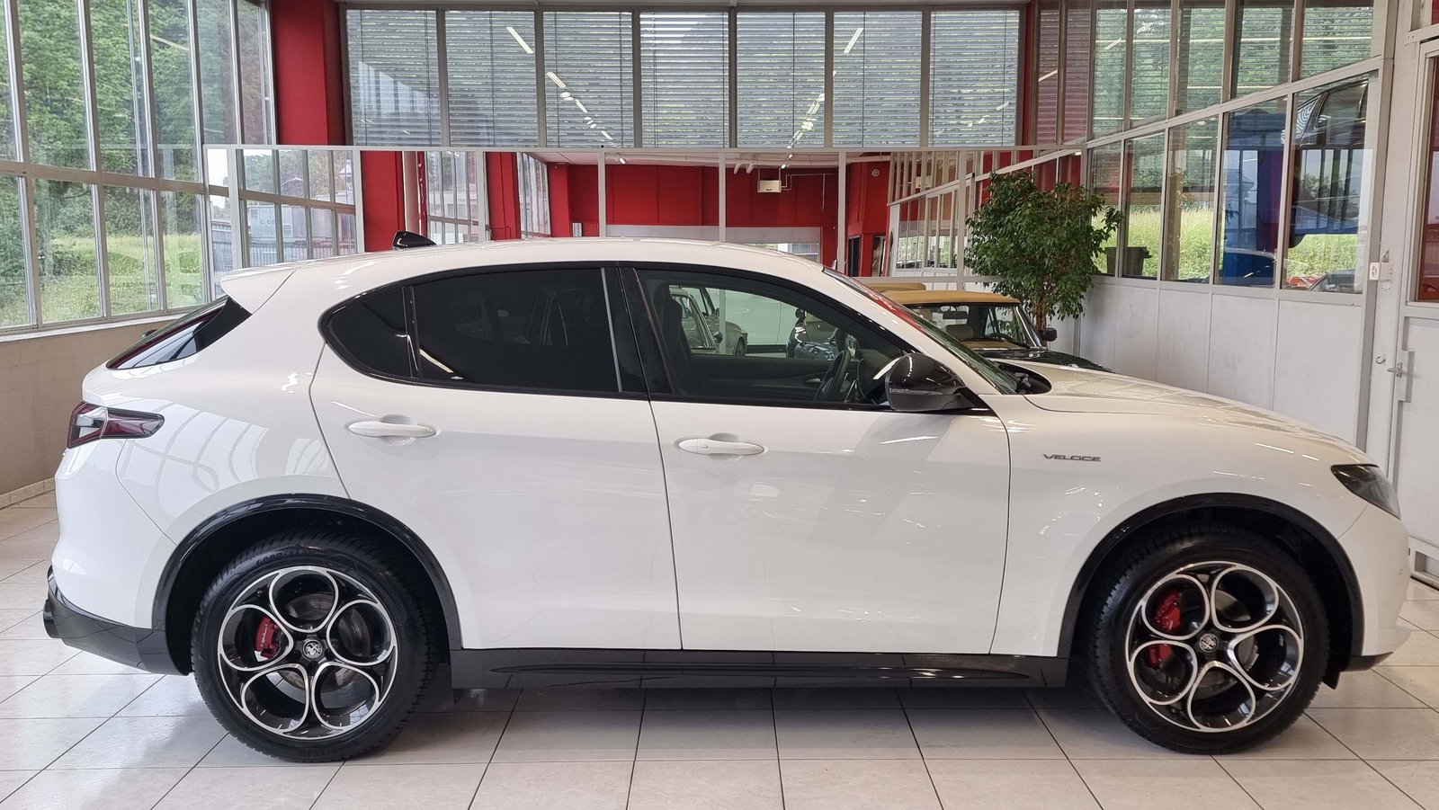 ALFA ROMEO Stelvio 2.0 Q4 280 Veloce-Premium, Benzina, Occasioni / Usate, Automatico - 6