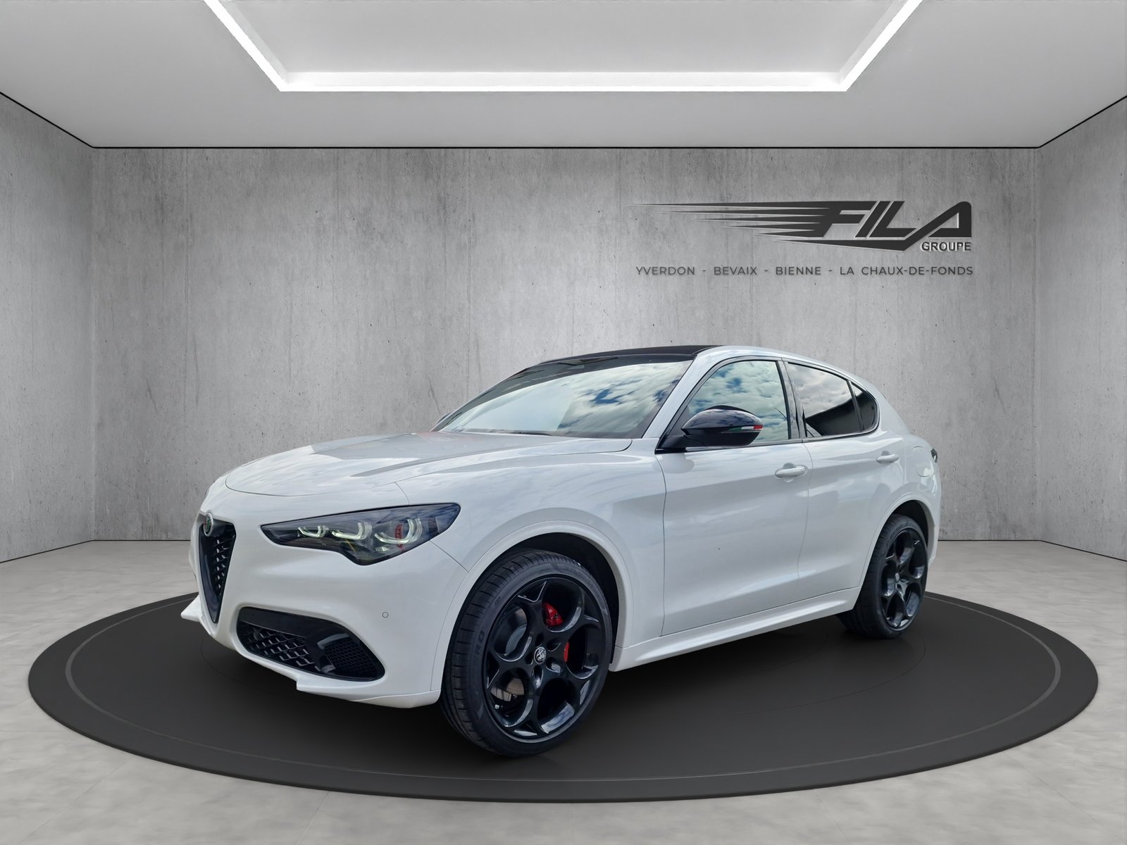 ALFA ROMEO STELVIO 2.0 Q4 280cv Tributo Italiano, Essence, Occasion / Utilisé, Automatique - 2