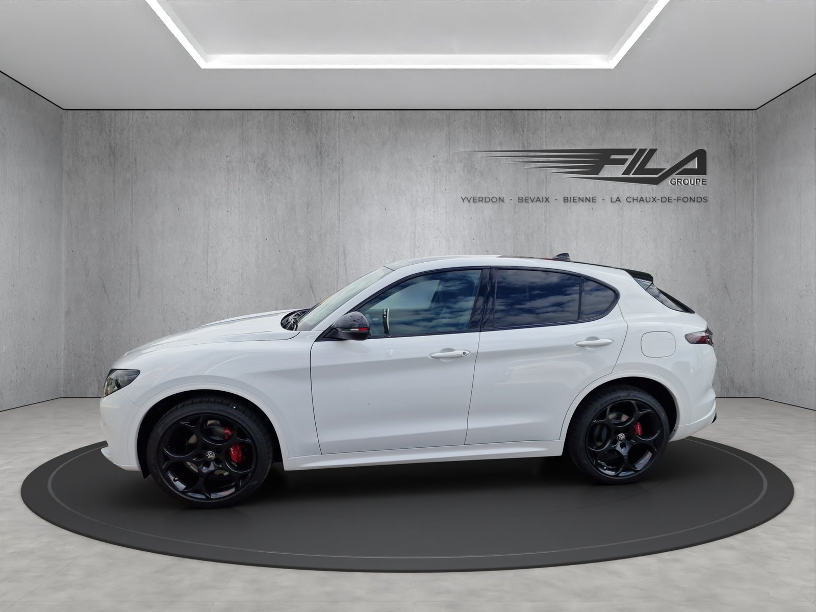 ALFA ROMEO STELVIO 2.0 Q4 280cv Tributo Italiano, Essence, Occasion / Utilisé, Automatique - 4