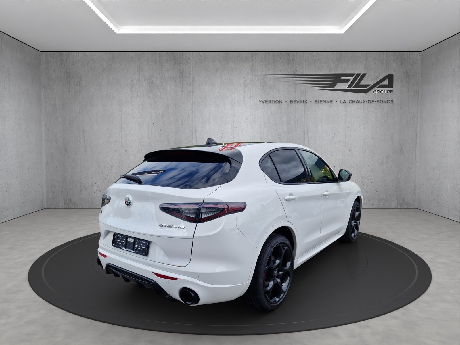 ALFA ROMEO STELVIO 2.0 Q4 280cv Tributo Italiano, Essence, Occasion / Utilisé, Automatique - 6