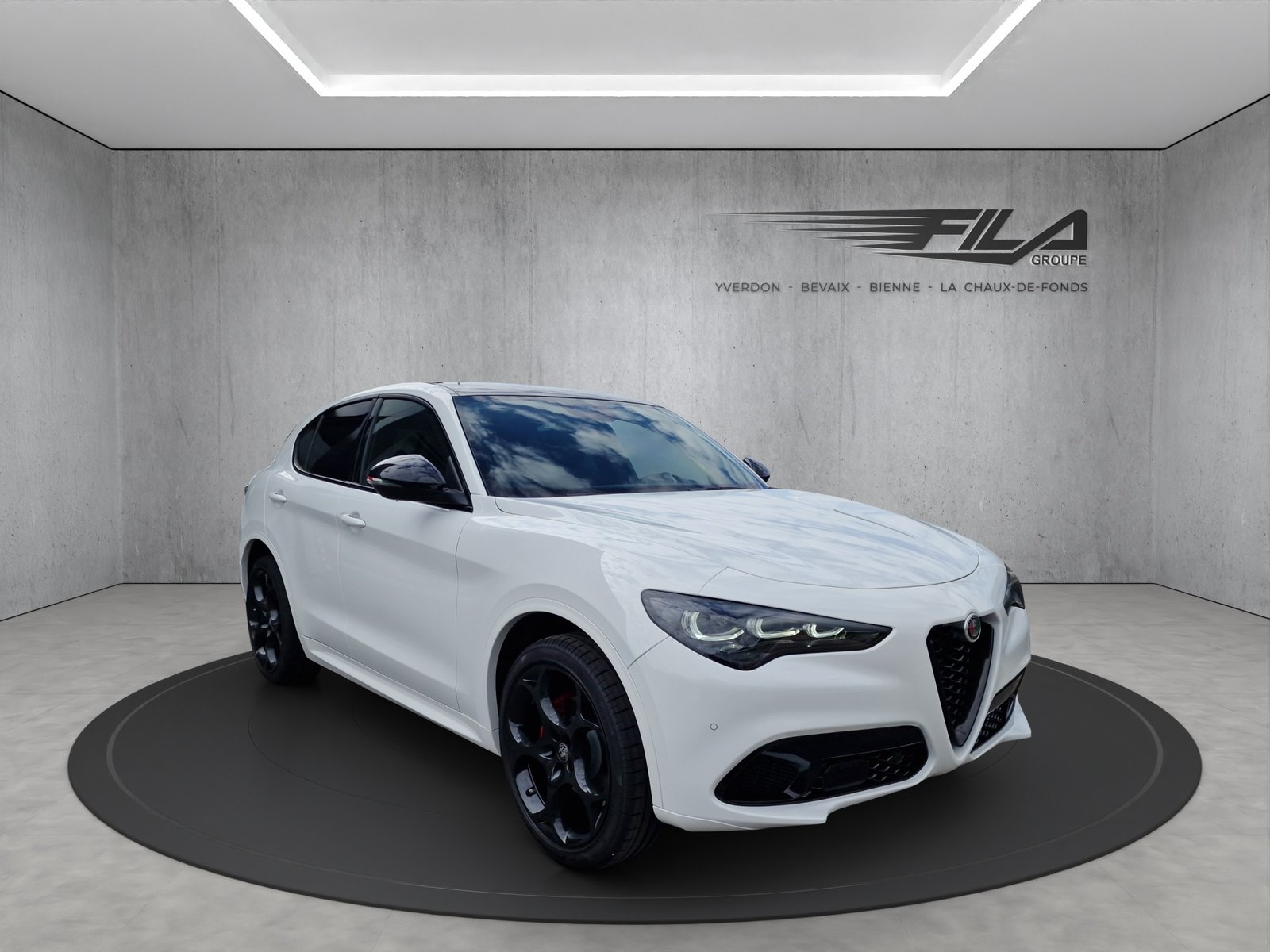 ALFA ROMEO STELVIO 2.0 Q4 280cv Tributo Italiano, Essence, Occasion / Utilisé, Automatique - 7