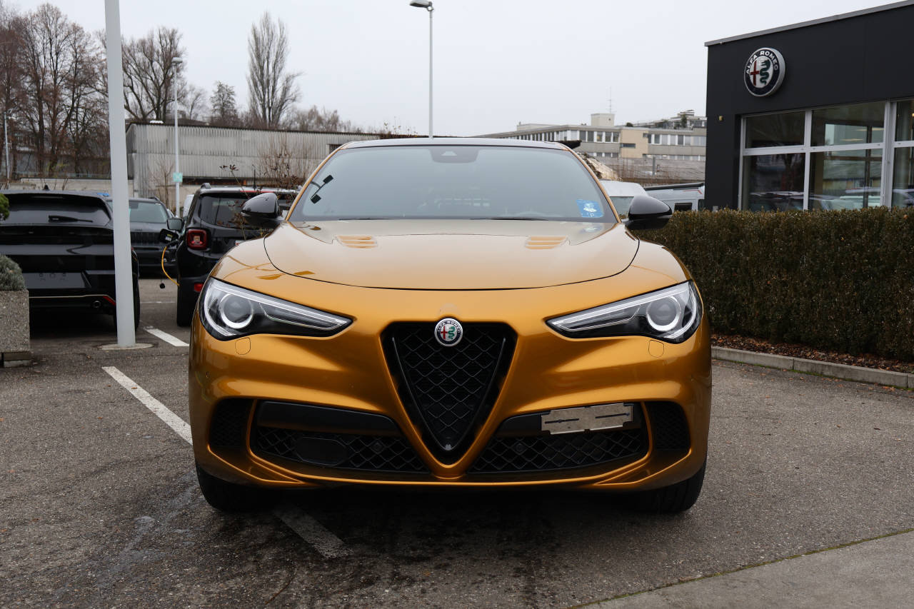 ALFA ROMEO Stelvio 2.9 V6 Biturbo Q4 Quadrifoglio Performante Sky, Benzina, Occasioni / Usate, Automatico - 7