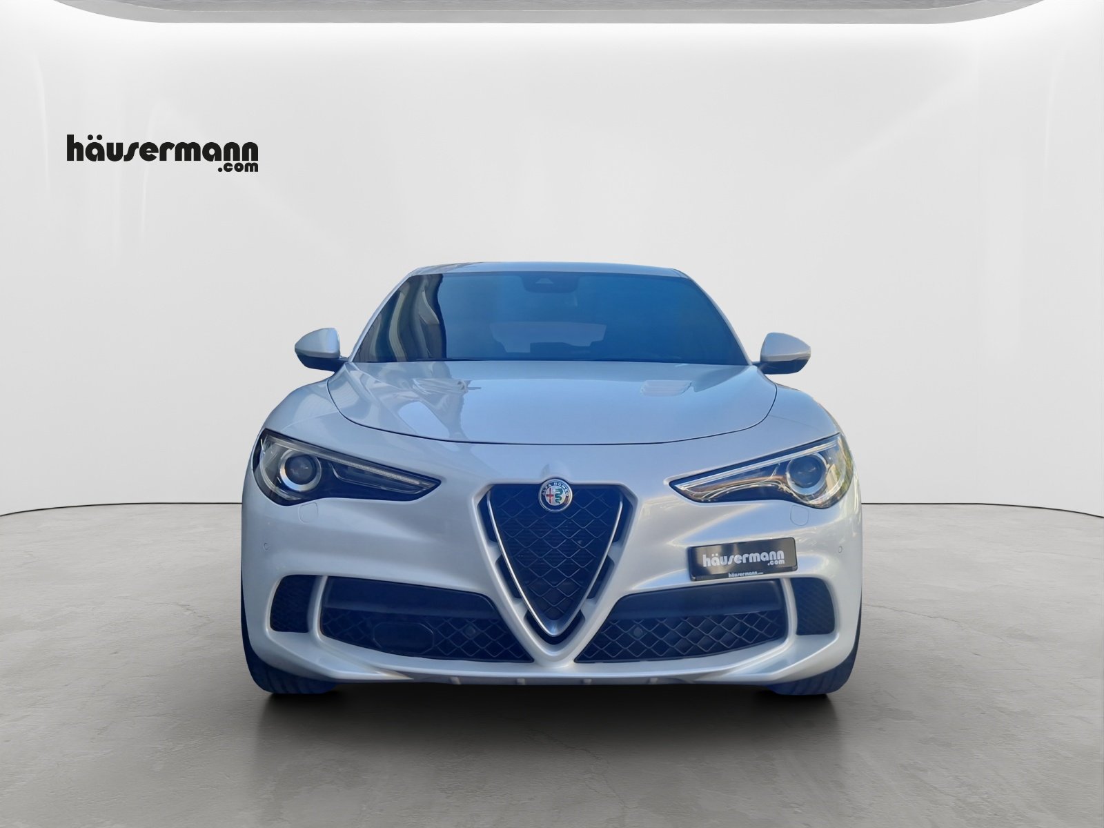 ALFA ROMEO Stelvio 2.9 V6 Biturbo Q4 Quadrifoglio, Benzina, Occasioni / Usate, Automatico - 2