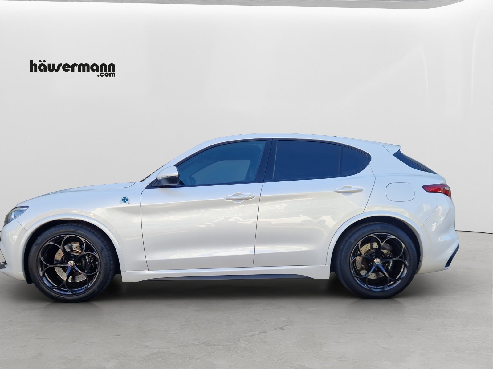 ALFA ROMEO Stelvio 2.9 V6 Biturbo Q4 Quadrifoglio, Benzina, Occasioni / Usate, Automatico - 3