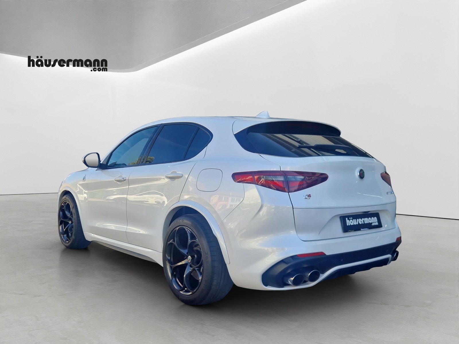 ALFA ROMEO Stelvio 2.9 V6 Biturbo Q4 Quadrifoglio, Benzina, Occasioni / Usate, Automatico - 4