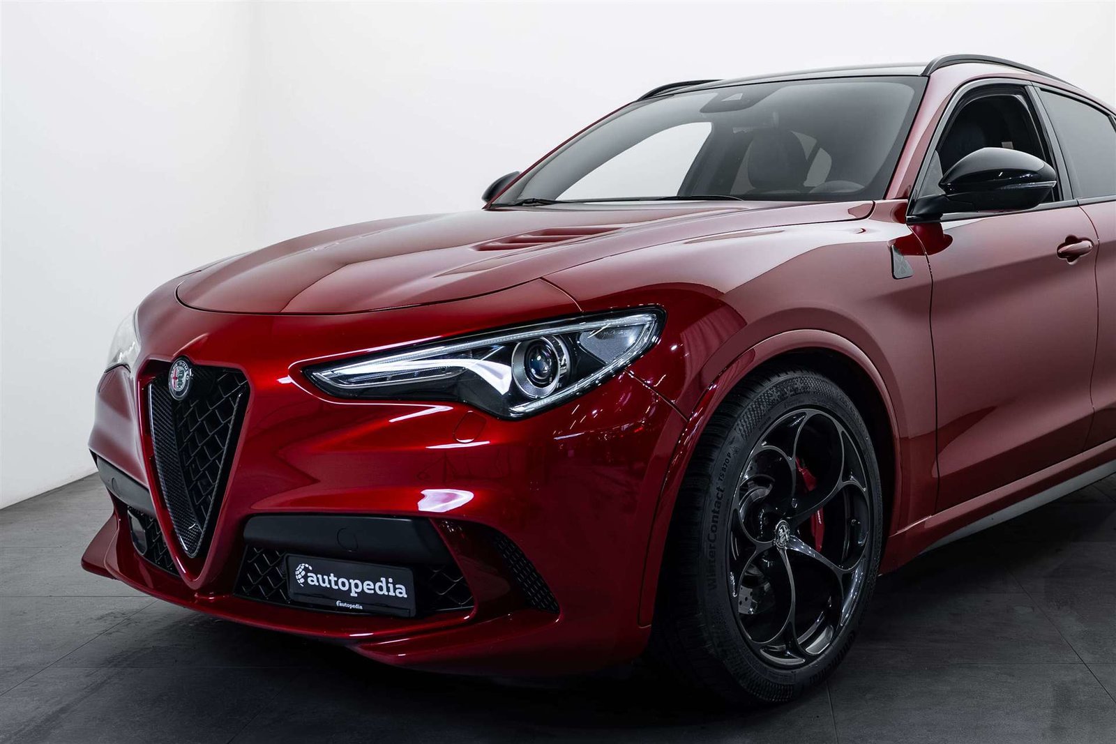 ALFA ROMEO Stelvio 2.9 V6 Quadrifoglio Q4 Automatic, Benzina, Occasioni / Usate, Automatico - 2
