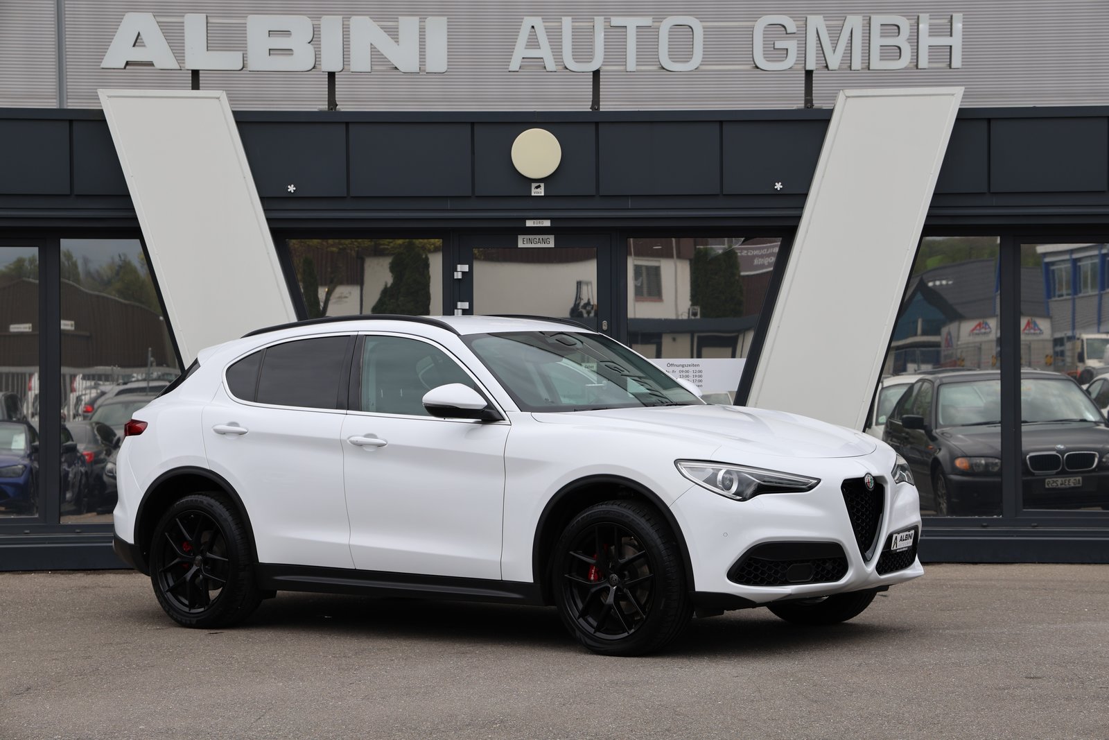 ALFA ROMEO Stelvio 2.0 Super Q4 Automatic, Benzina, Occasioni / Usate, Automatico - 2