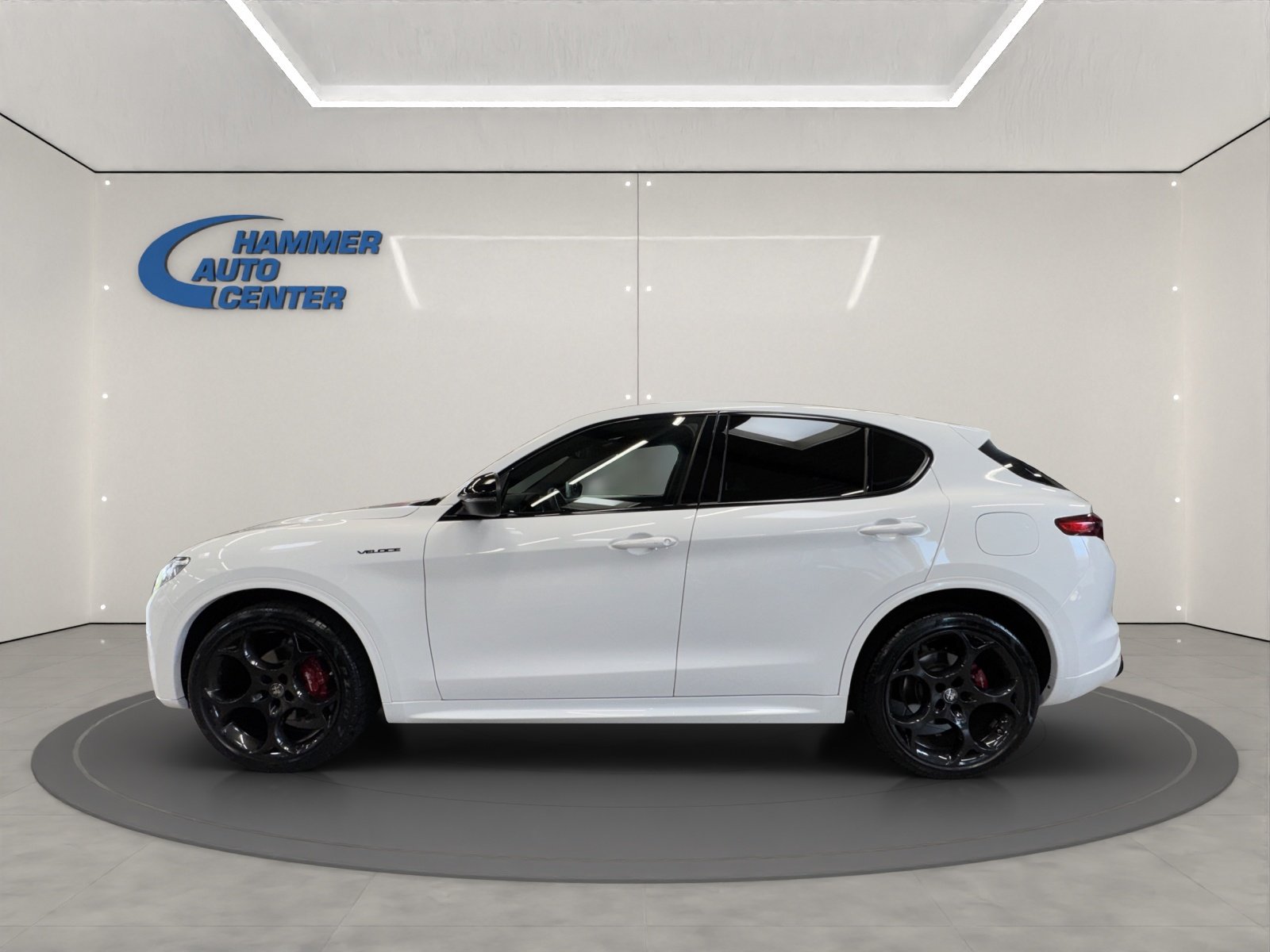 ALFA ROMEO Stelvio 2.0 Q4 280 Veloce, Benzina, Occasioni / Usate, Automatico - 2