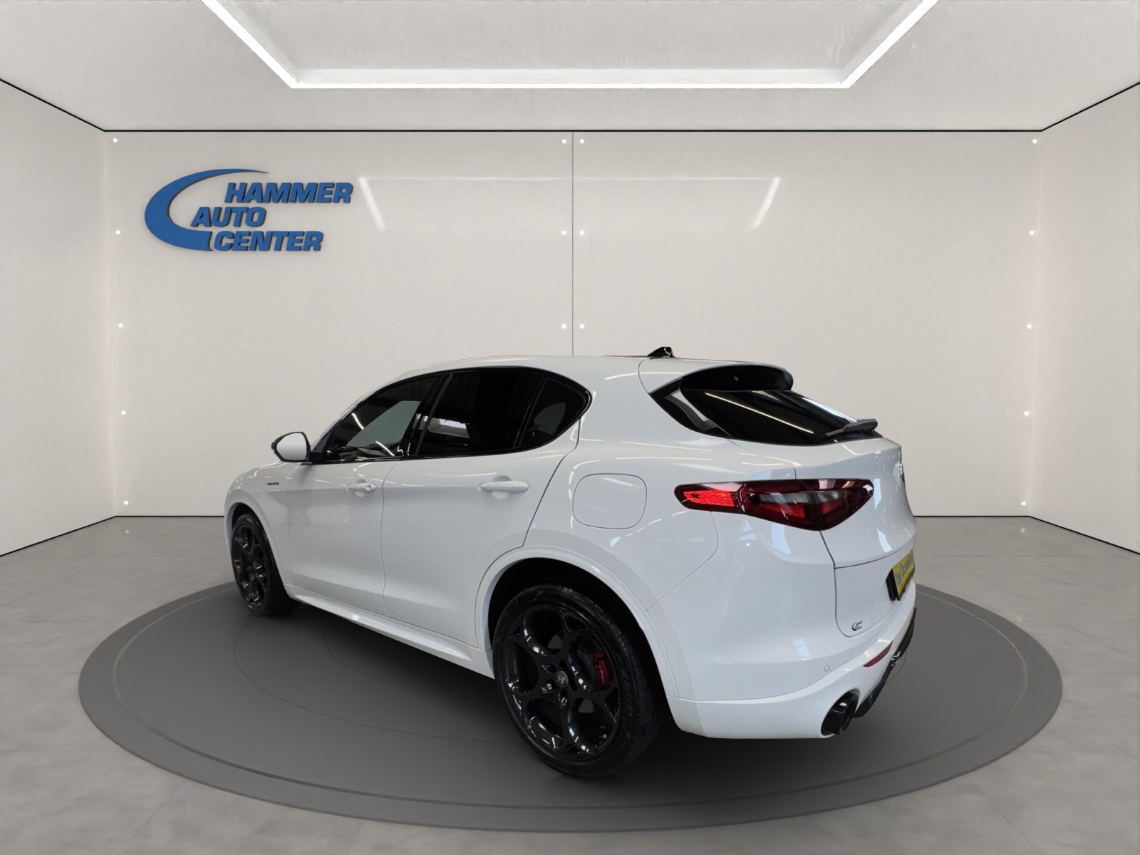 ALFA ROMEO Stelvio 2.0 Q4 280 Veloce, Benzina, Occasioni / Usate, Automatico - 3