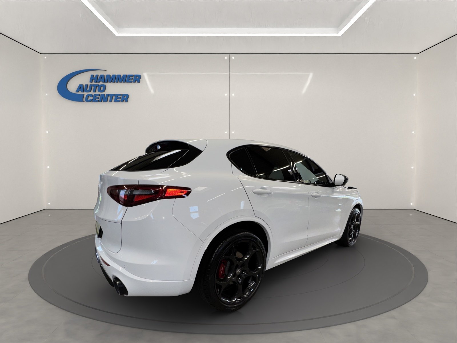 ALFA ROMEO Stelvio 2.0 Q4 280 Veloce, Benzina, Occasioni / Usate, Automatico - 5