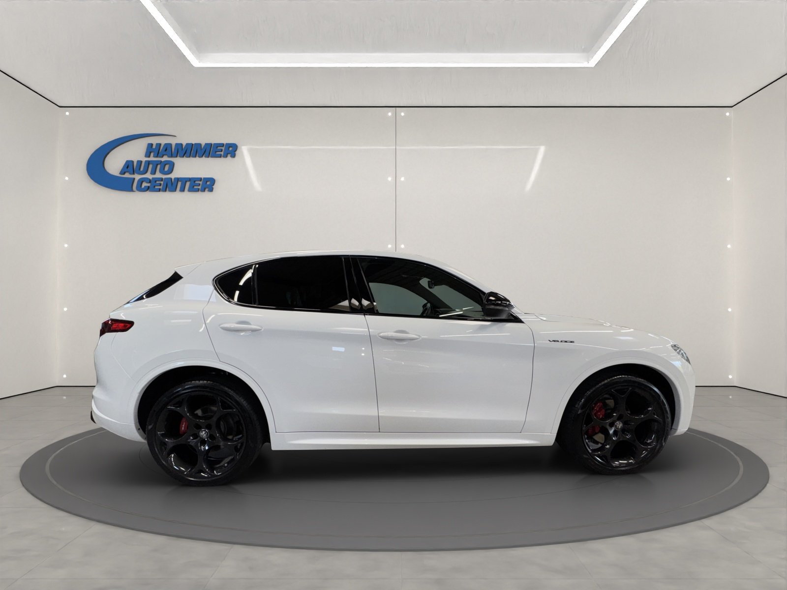 ALFA ROMEO Stelvio 2.0 Q4 280 Veloce, Benzina, Occasioni / Usate, Automatico - 6