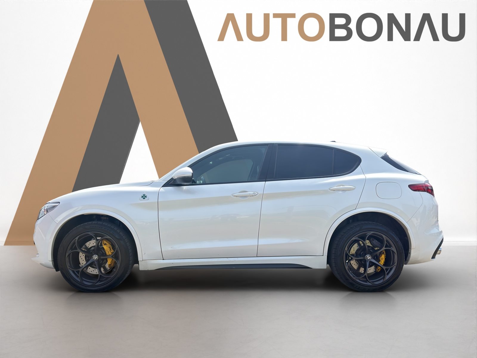 ALFA ROMEO Stelvio 2.9 V6 Biturbo Q4 Quadrifoglio, Benzina, Occasioni / Usate, Automatico - 2