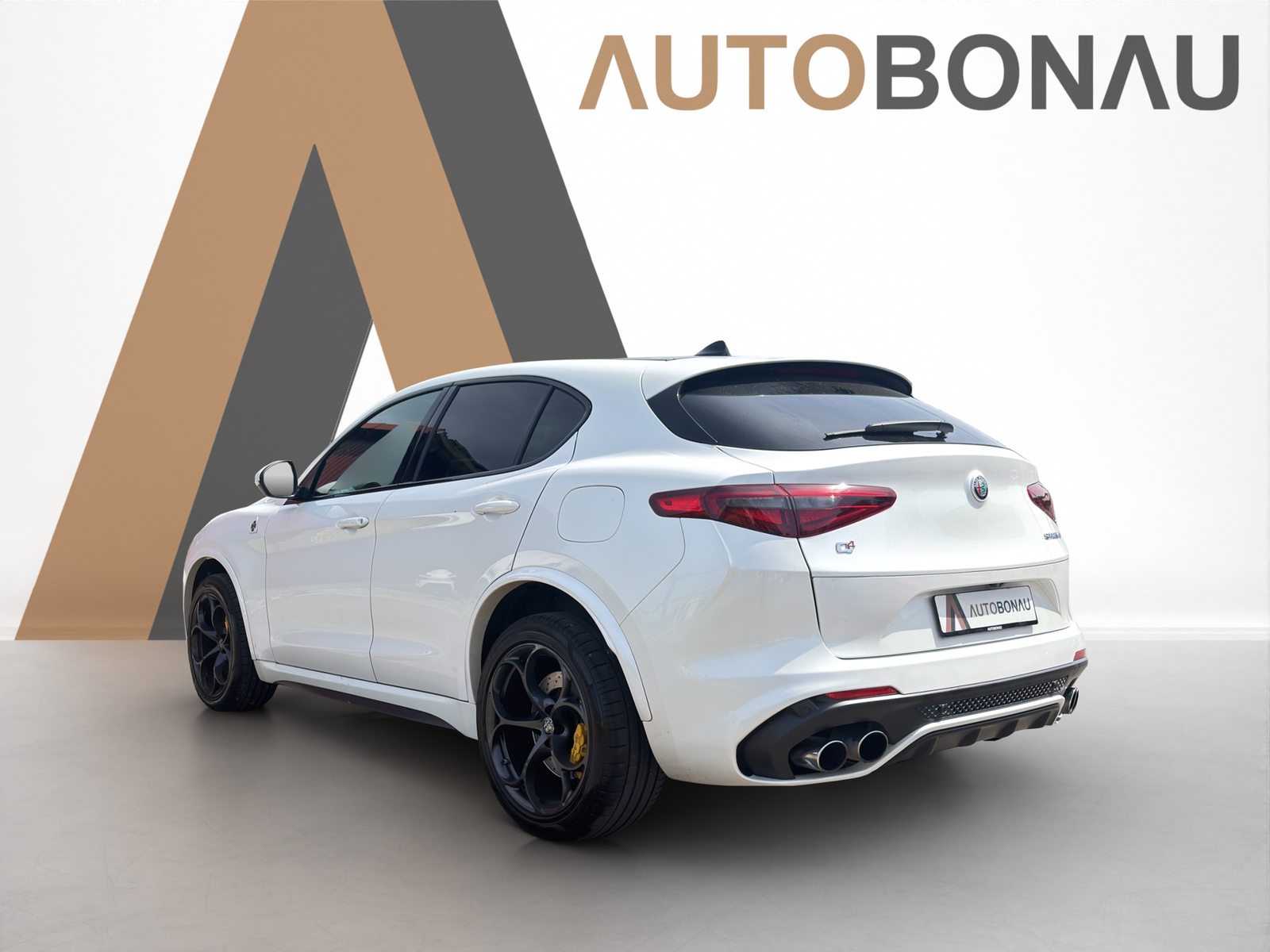 ALFA ROMEO Stelvio 2.9 V6 Biturbo Q4 Quadrifoglio, Benzina, Occasioni / Usate, Automatico - 3