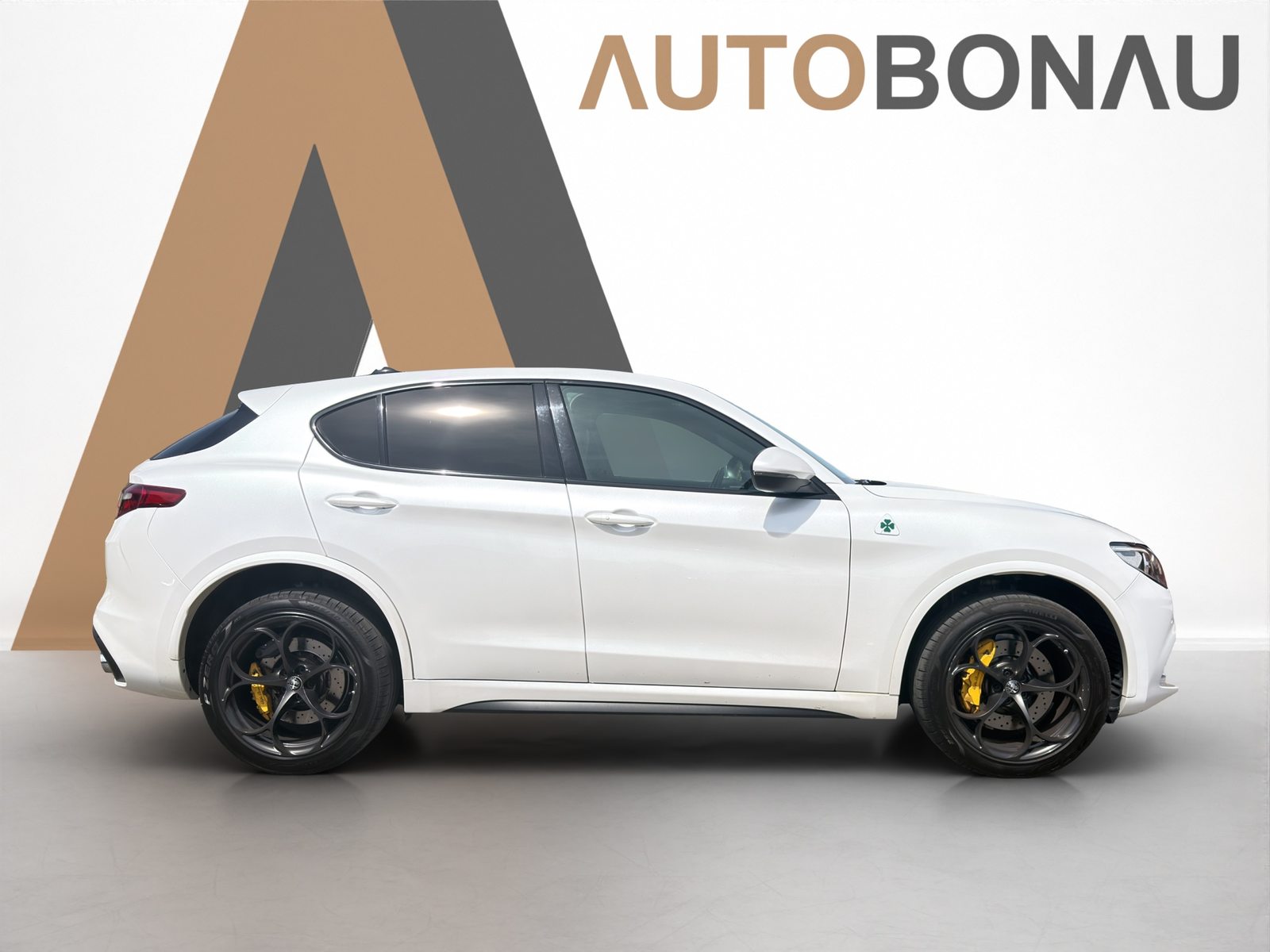 ALFA ROMEO Stelvio 2.9 V6 Biturbo Q4 Quadrifoglio, Benzina, Occasioni / Usate, Automatico - 6