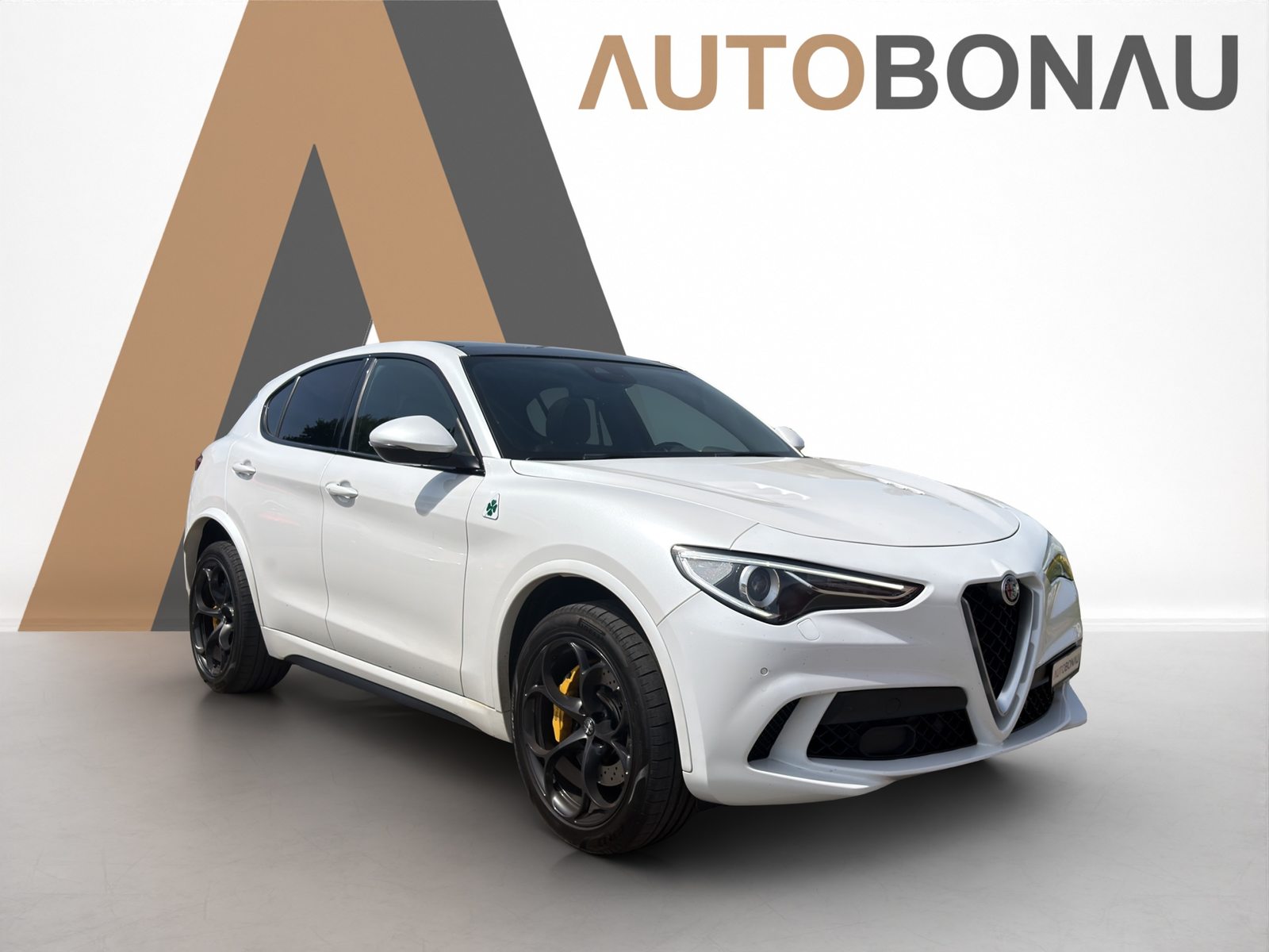 ALFA ROMEO Stelvio 2.9 V6 Biturbo Q4 Quadrifoglio, Benzina, Occasioni / Usate, Automatico - 7