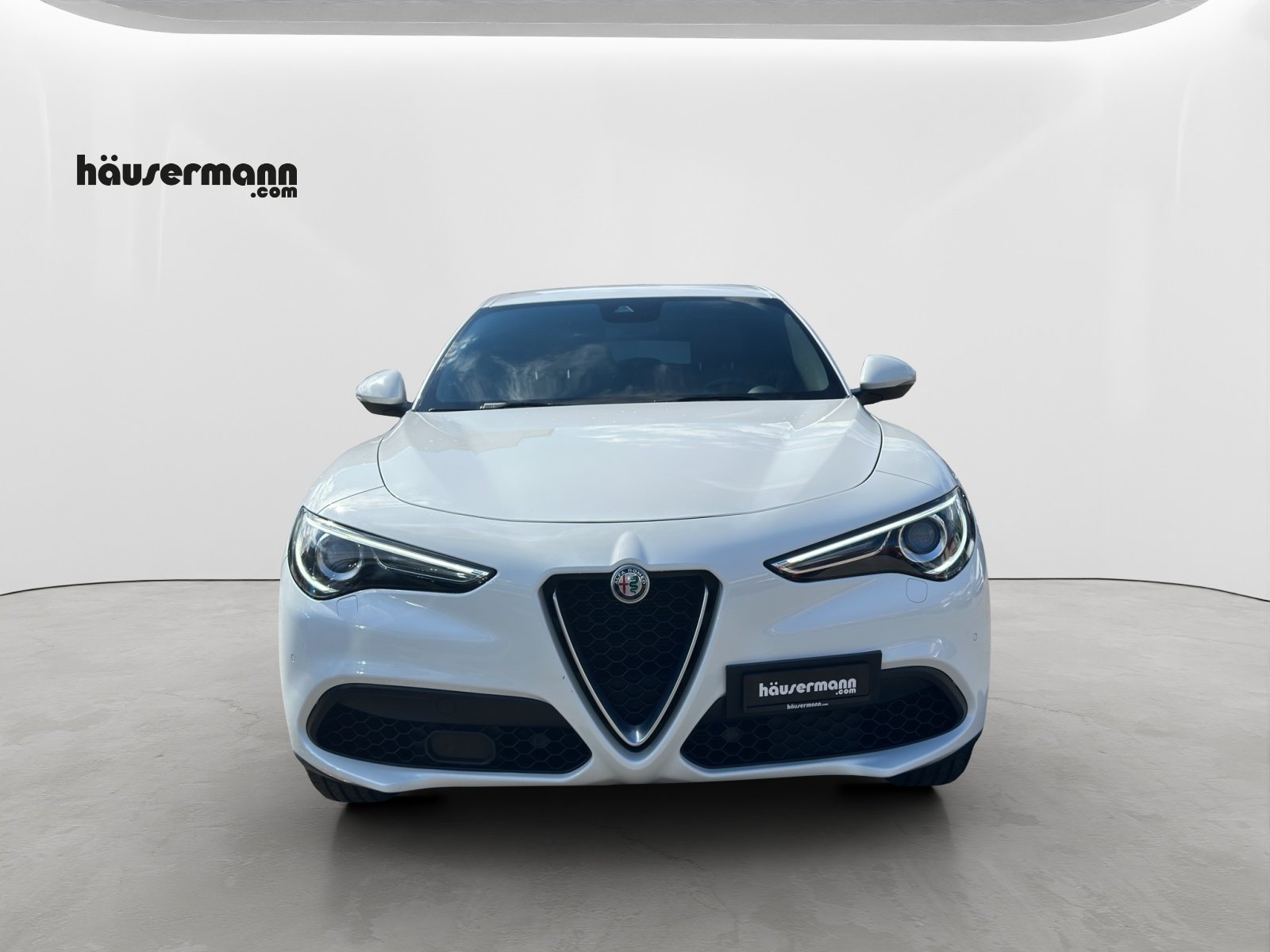 ALFA ROMEO Stelvio 2.0 Q4 280 Super, Benzina, Occasioni / Usate, Automatico - 2