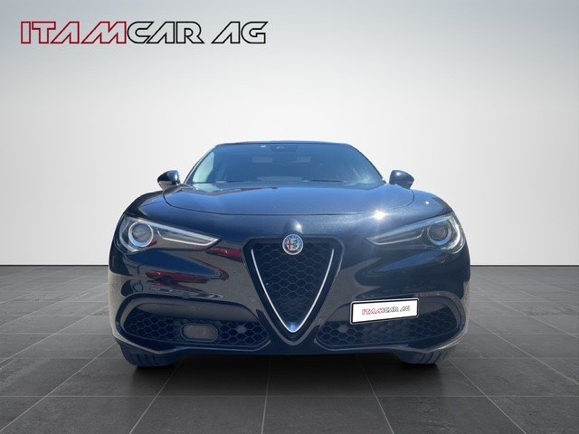 ALFA ROMEO Stelvio 2.0 Q4 280 First Edition, Benzina, Occasioni / Usate, Automatico - 2