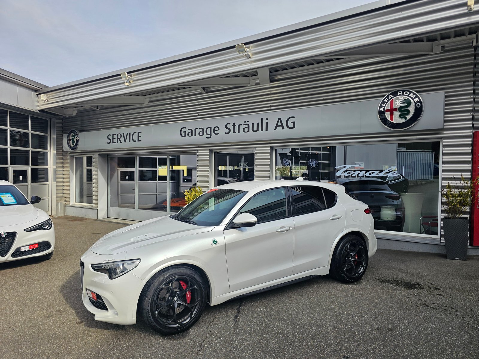 ALFA ROMEO Stelvio 2.9 V6 Quadrifoglio, Essence, Occasion / Utilisé, Automatique - 2