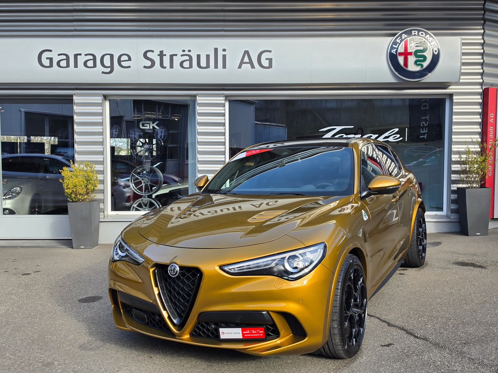 ALFA ROMEO Stelvio 2.9 V6 Quadrifoglio Sky 21 Zoll Q4, Benzin, Occasion / Gebraucht, Automatik - 2