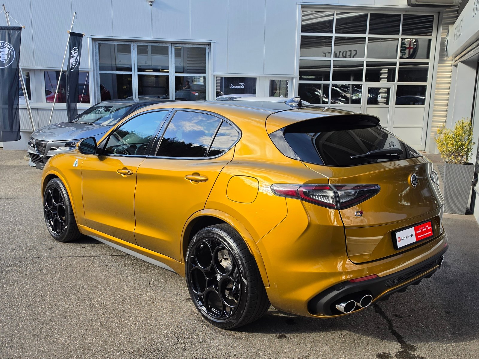 ALFA ROMEO Stelvio 2.9 V6 Quadrifoglio Sky 21 Zoll Q4, Benzin, Occasion / Gebraucht, Automatik - 3