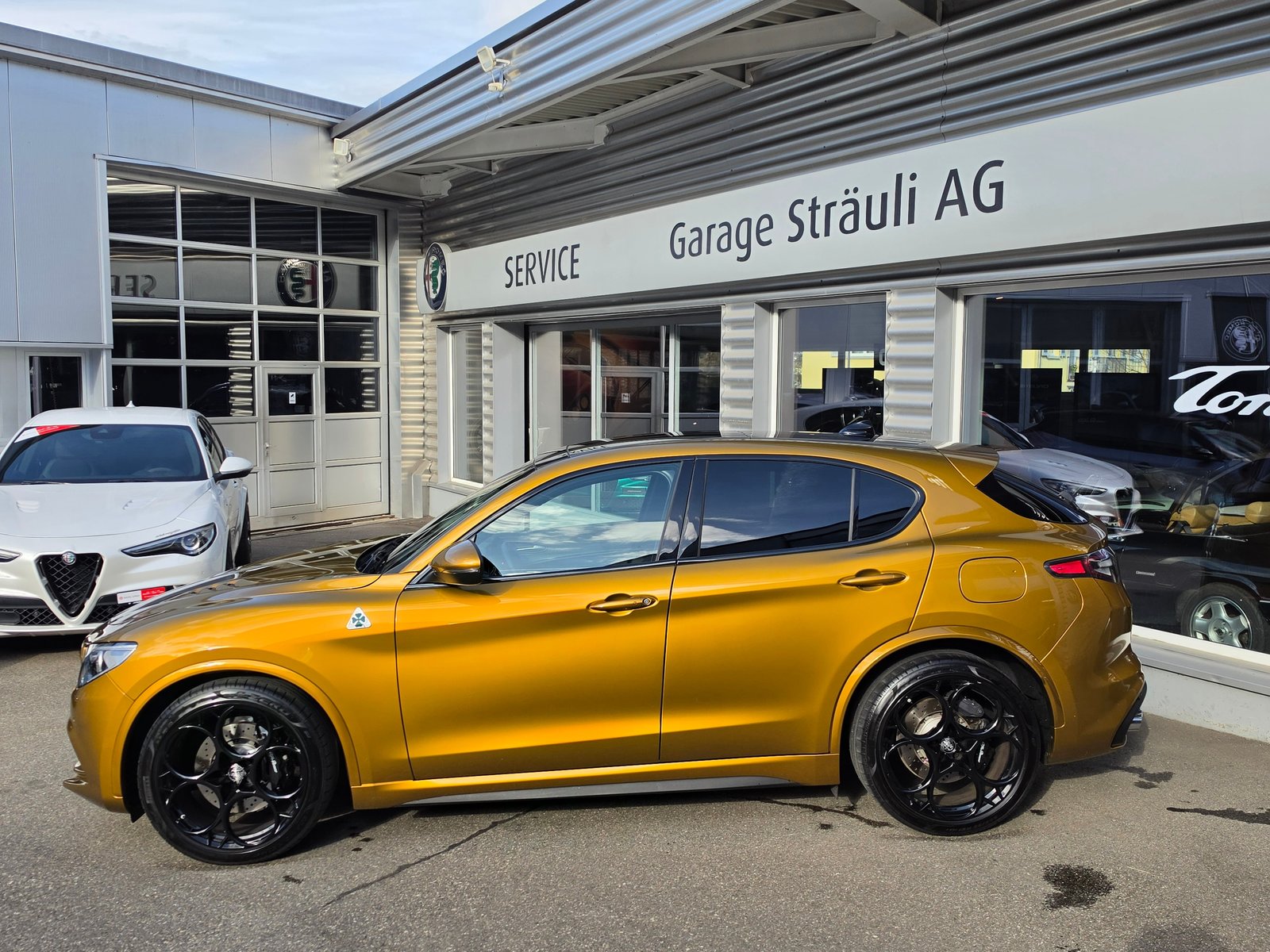 ALFA ROMEO Stelvio 2.9 V6 Quadrifoglio Sky 21 Zoll Q4, Benzin, Occasion / Gebraucht, Automatik - 4