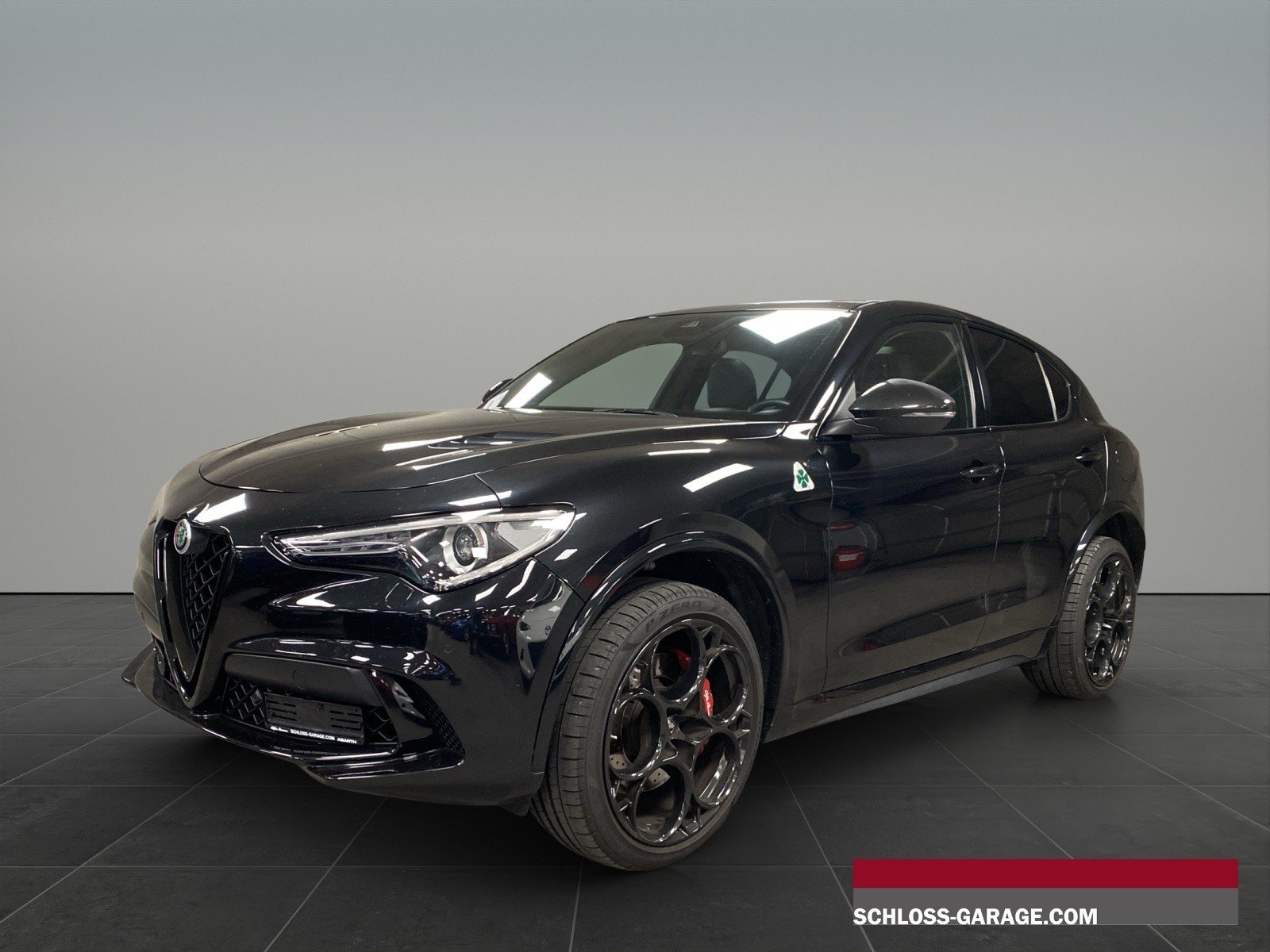 ALFA ROMEO STELVIO 2.9 V6 Biturbo Q4 Q