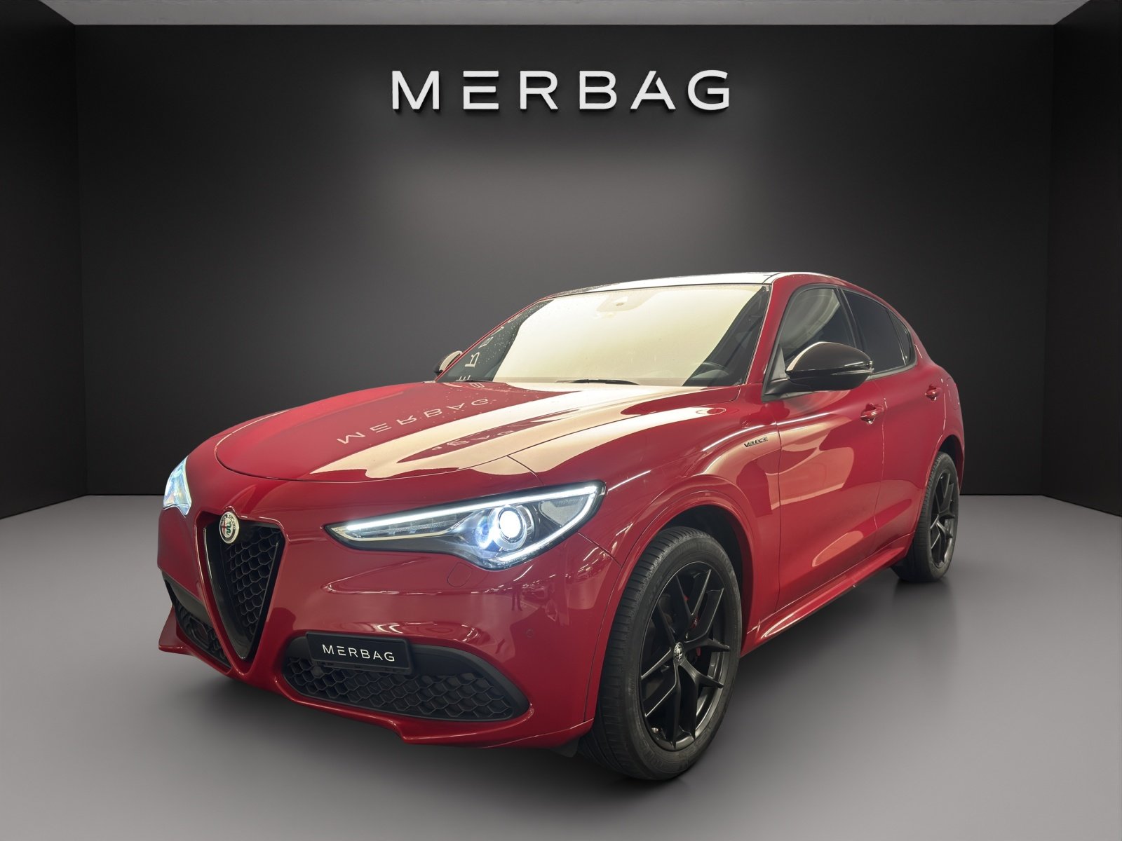 ALFA ROMEO Stelvio 2.0 Veloce Q4 Automatic, Benzina, Occasioni / Usate, Automatico - 3