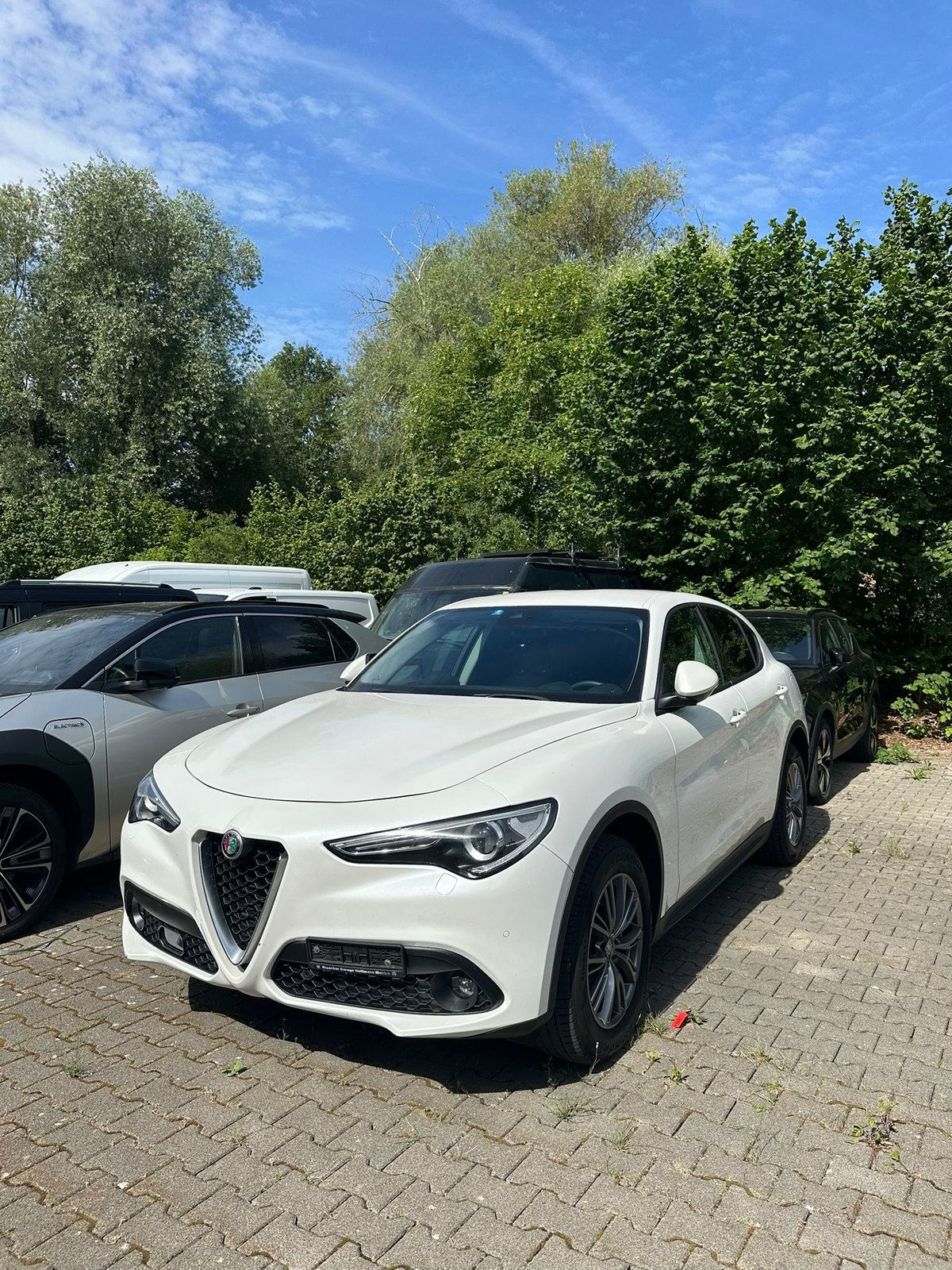 ALFA ROMEO Stelvio 2.2 JTDM Super Q4 Automatic