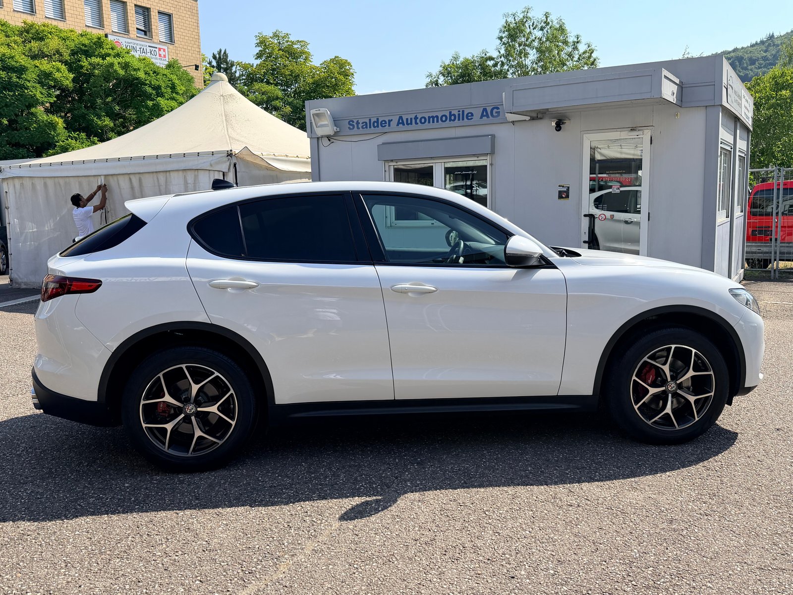 ALFA ROMEO Stelvio 2.0 Executive Q4 Automatic, Benzina, Occasioni / Usate, Automatico - 2