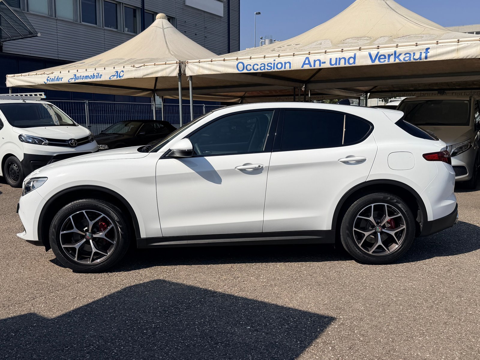 ALFA ROMEO Stelvio 2.0 Executive Q4 Automatic, Benzina, Occasioni / Usate, Automatico - 6