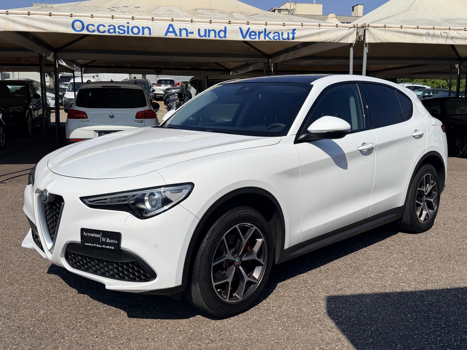 ALFA ROMEO Stelvio 2.0 Executive Q4 Automatic, Benzina, Occasioni / Usate, Automatico - 7